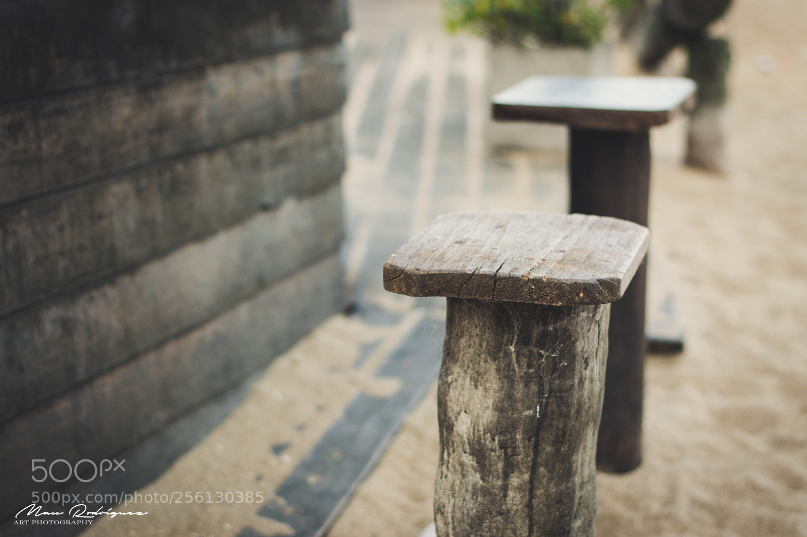 Nikon D3300 sample photo. California dreaming photography