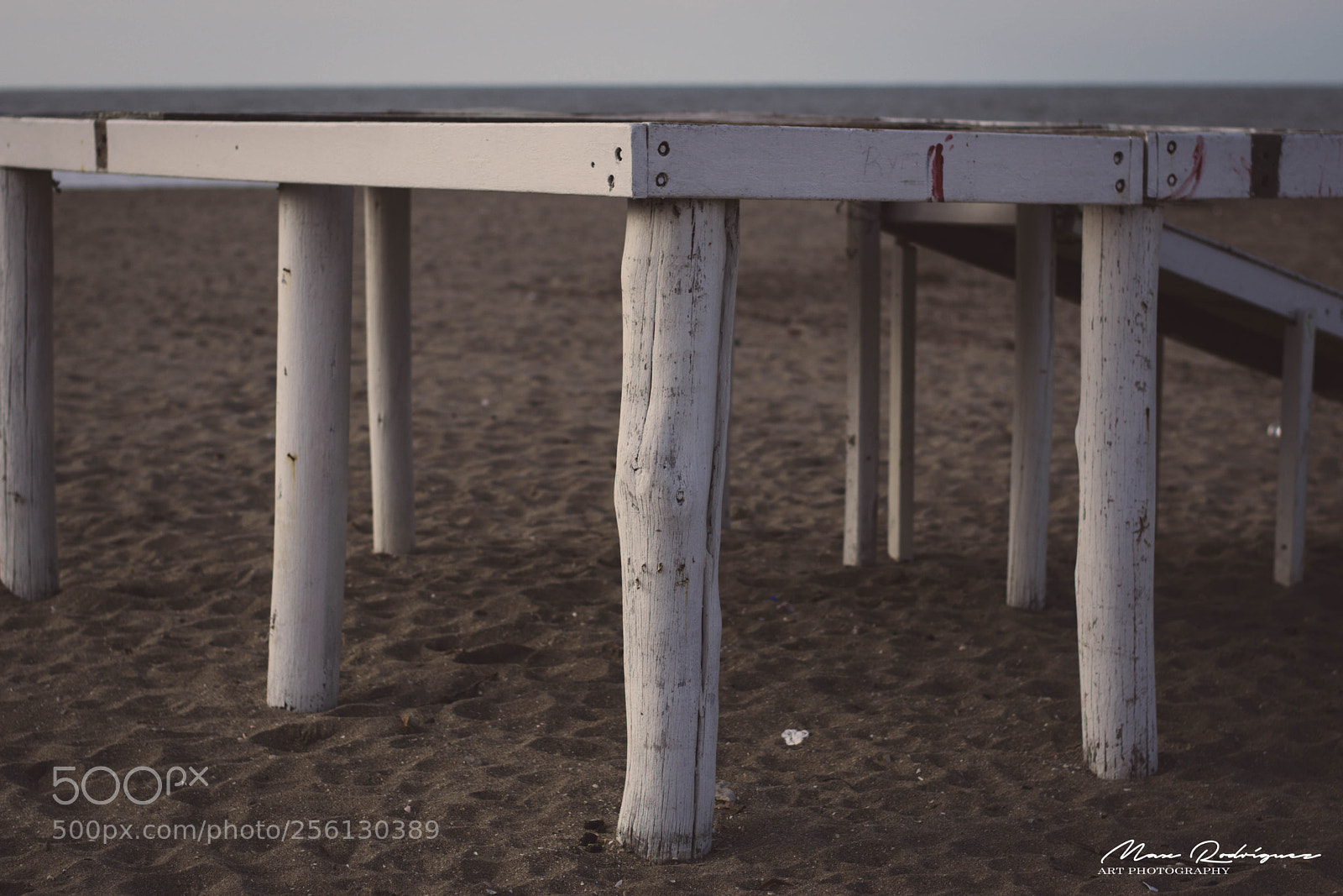 Nikon D3300 sample photo. California dreaming photography