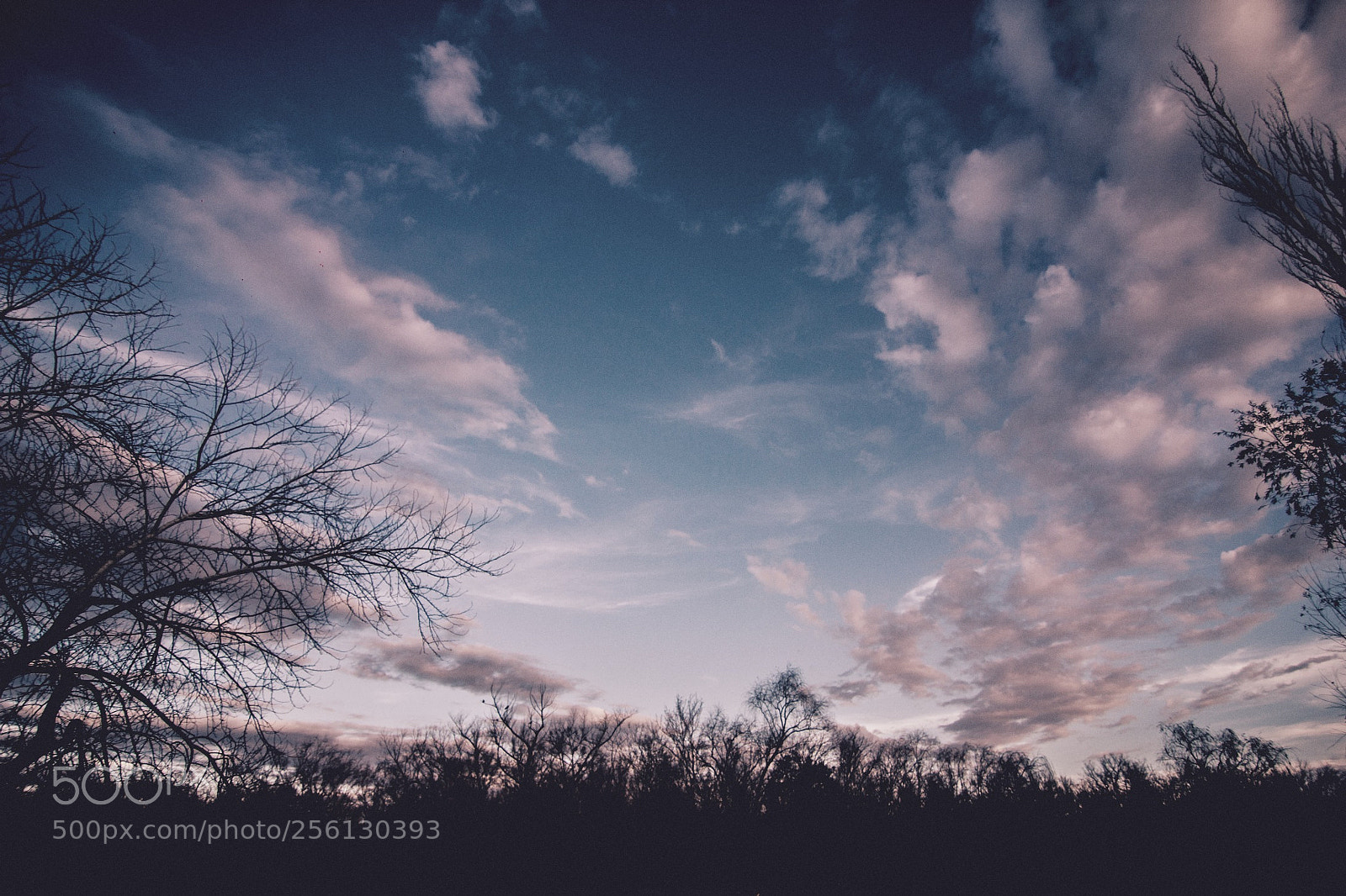 Canon EOS 60D sample photo. The sky of disillusion- photography