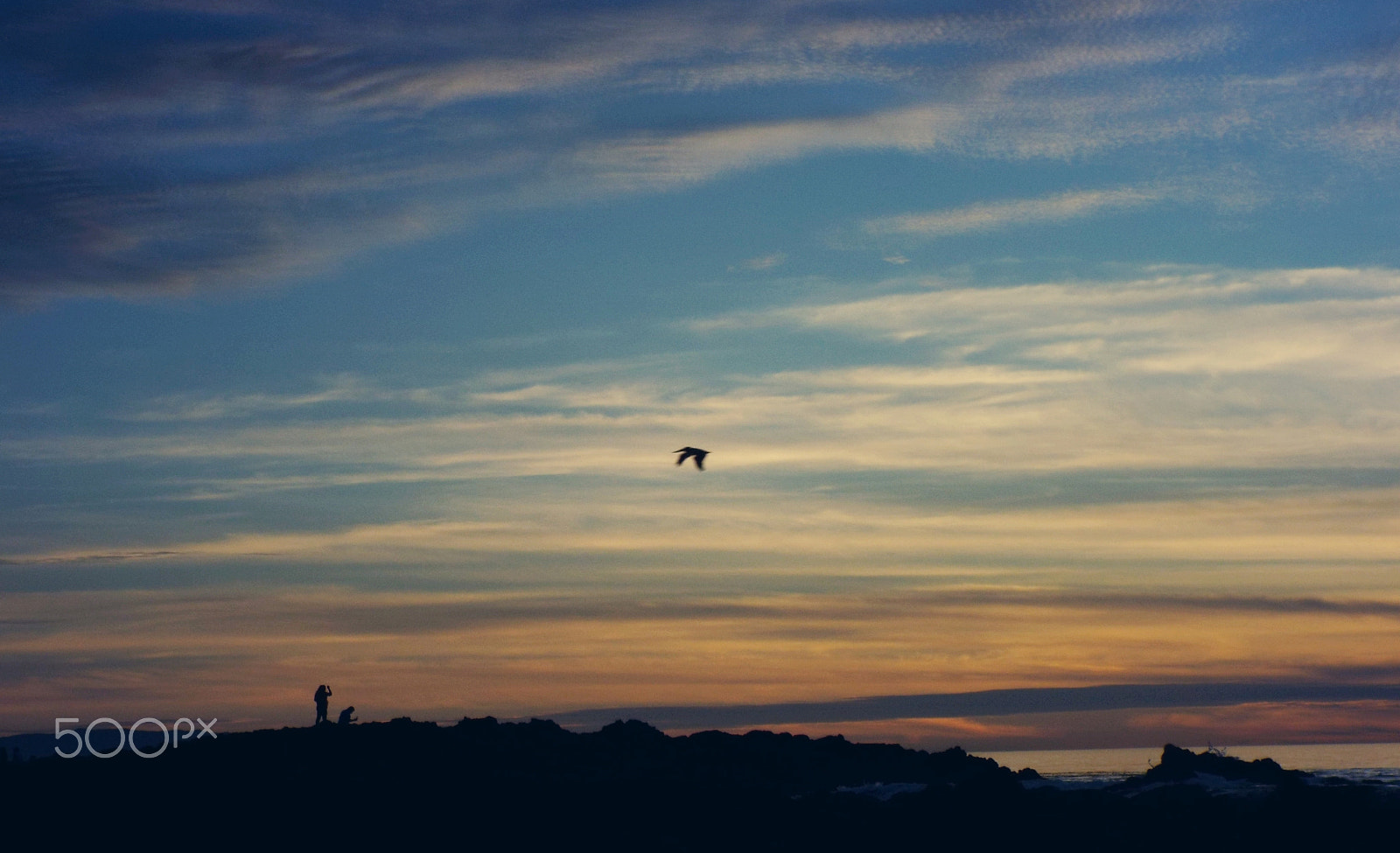 Fujifilm FinePix S9900W S9950W sample photo. Twilight flight photography