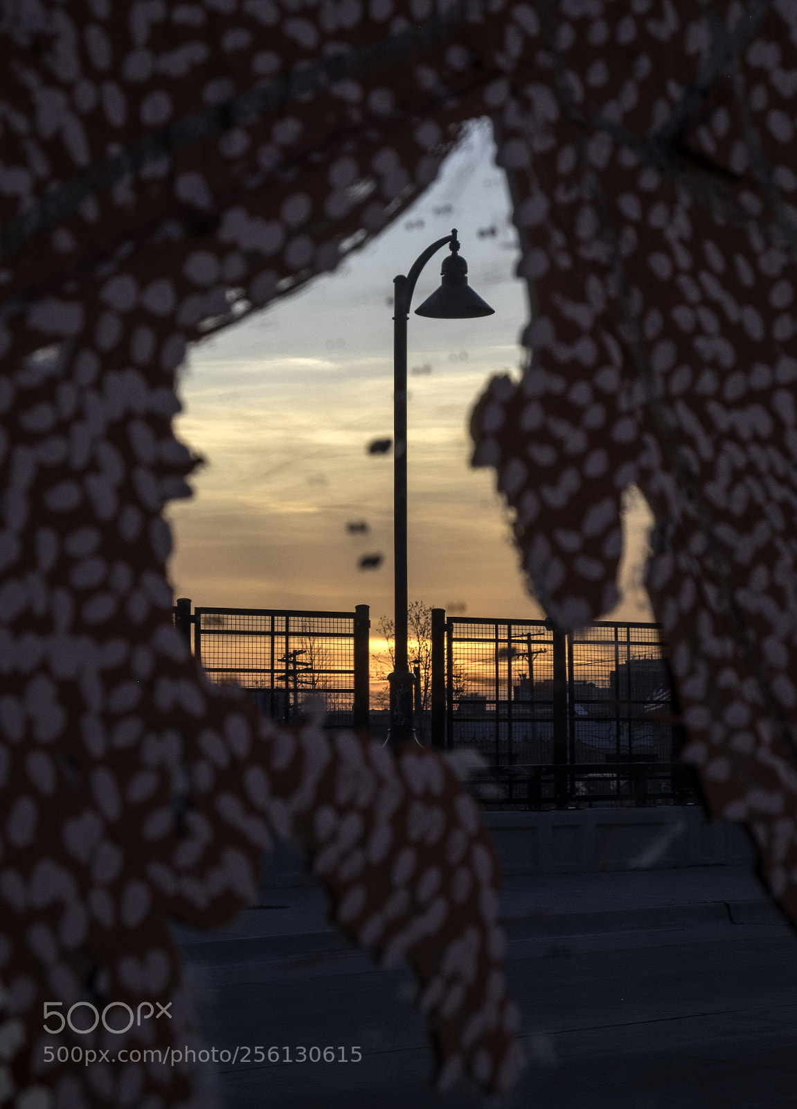 Fujifilm X-T10 sample photo. Mirrored photography