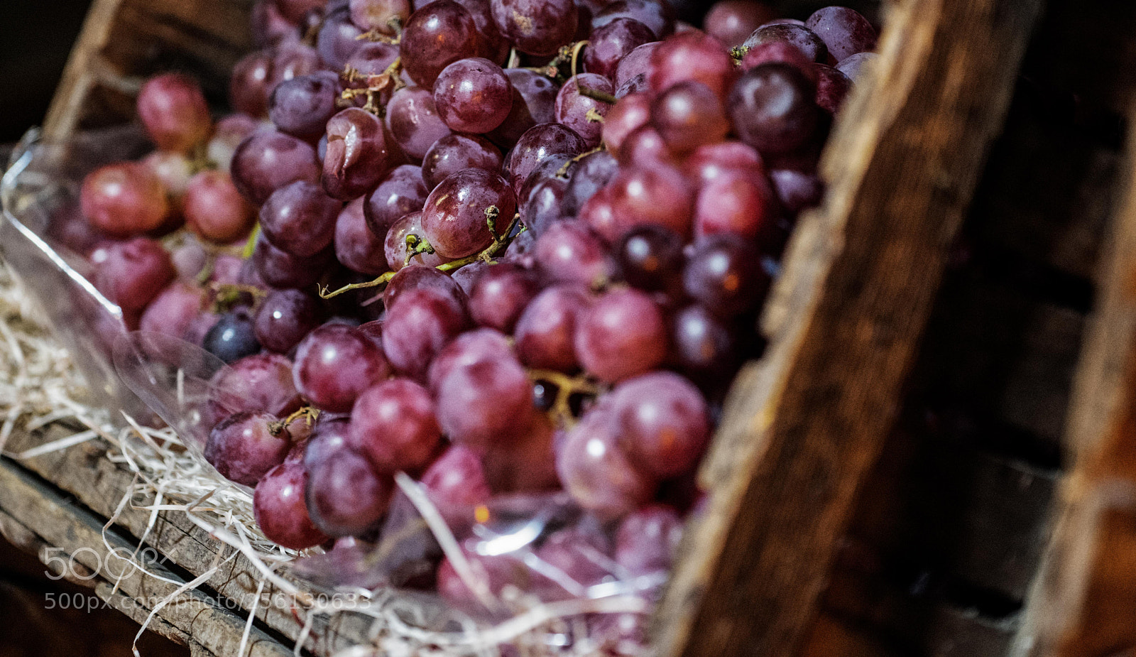 Nikon D810 sample photo. Barcelona photography
