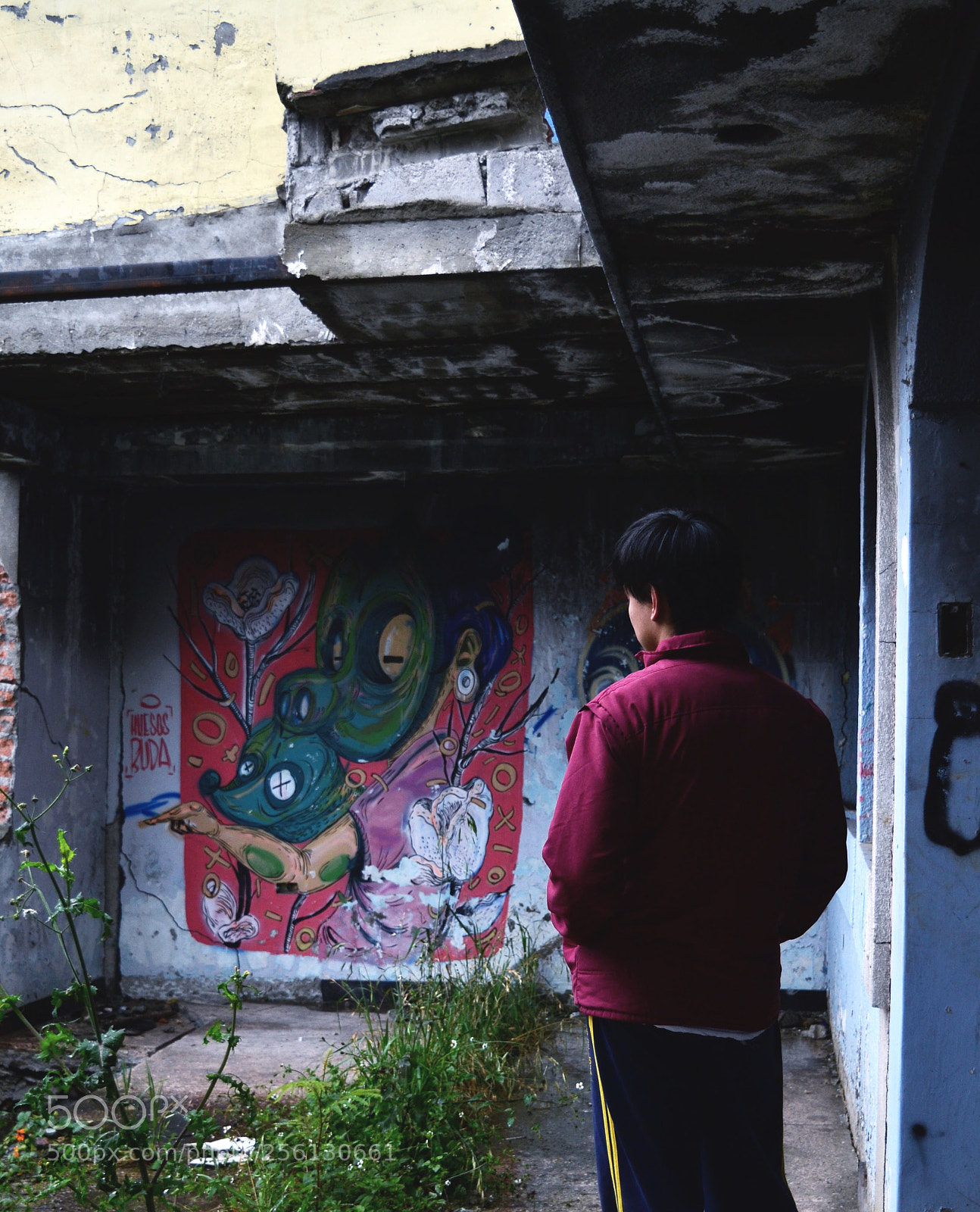 Nikon D3100 sample photo. Buda photography