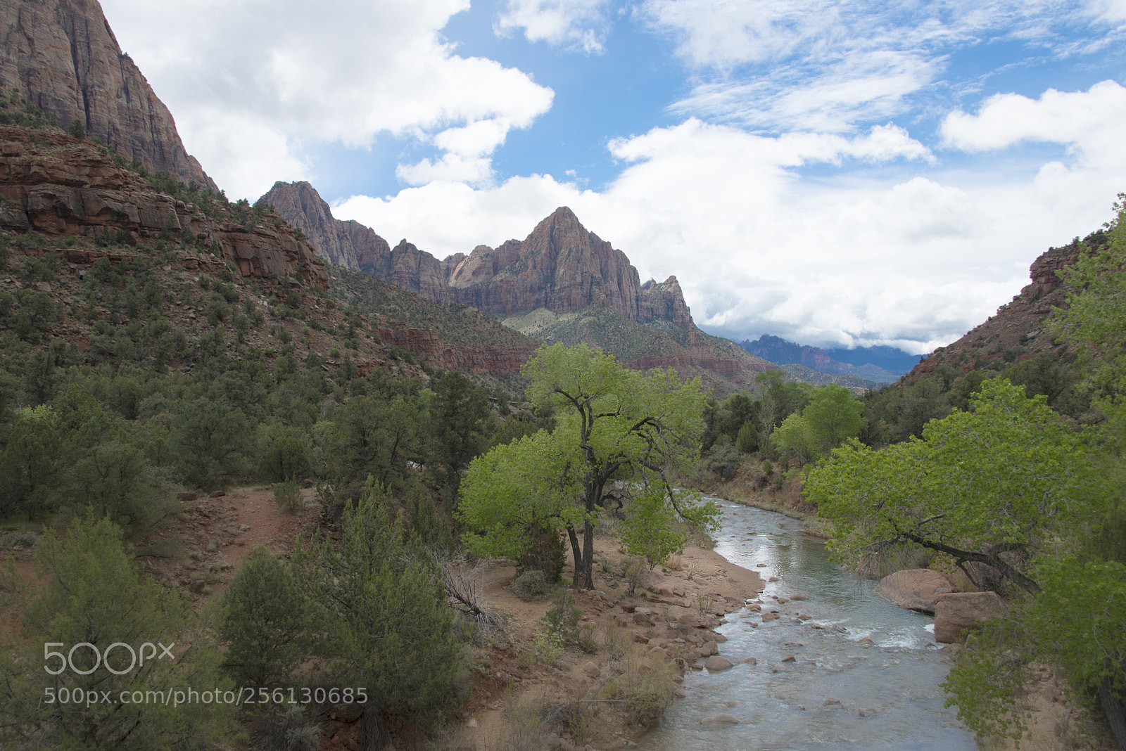 Nikon D800 sample photo. Virgin river, zion photography