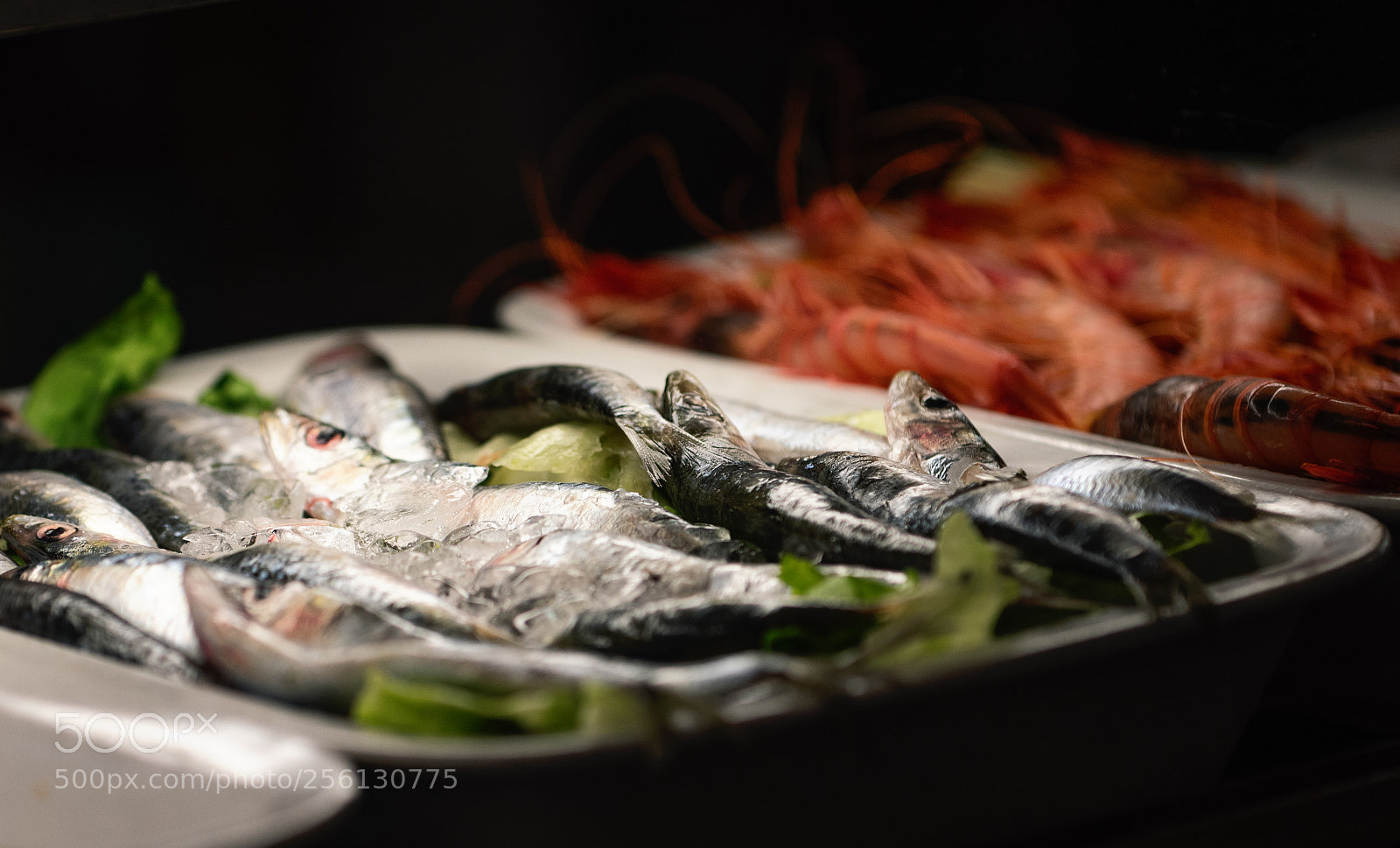 Nikon D810 sample photo. Barcelona photography