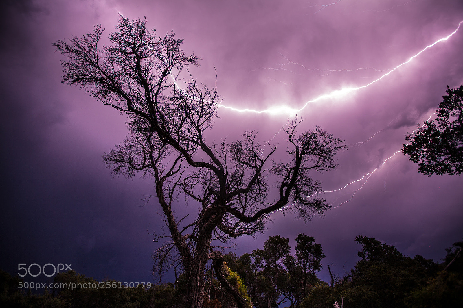 Canon EOS 5D sample photo. Electric fingers photography