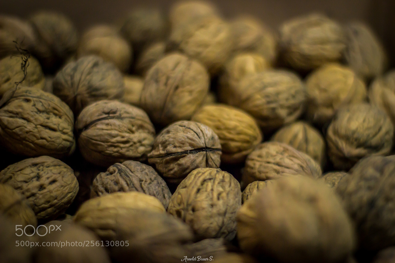 Canon EOS 600D (Rebel EOS T3i / EOS Kiss X5) sample photo. Nueces photography