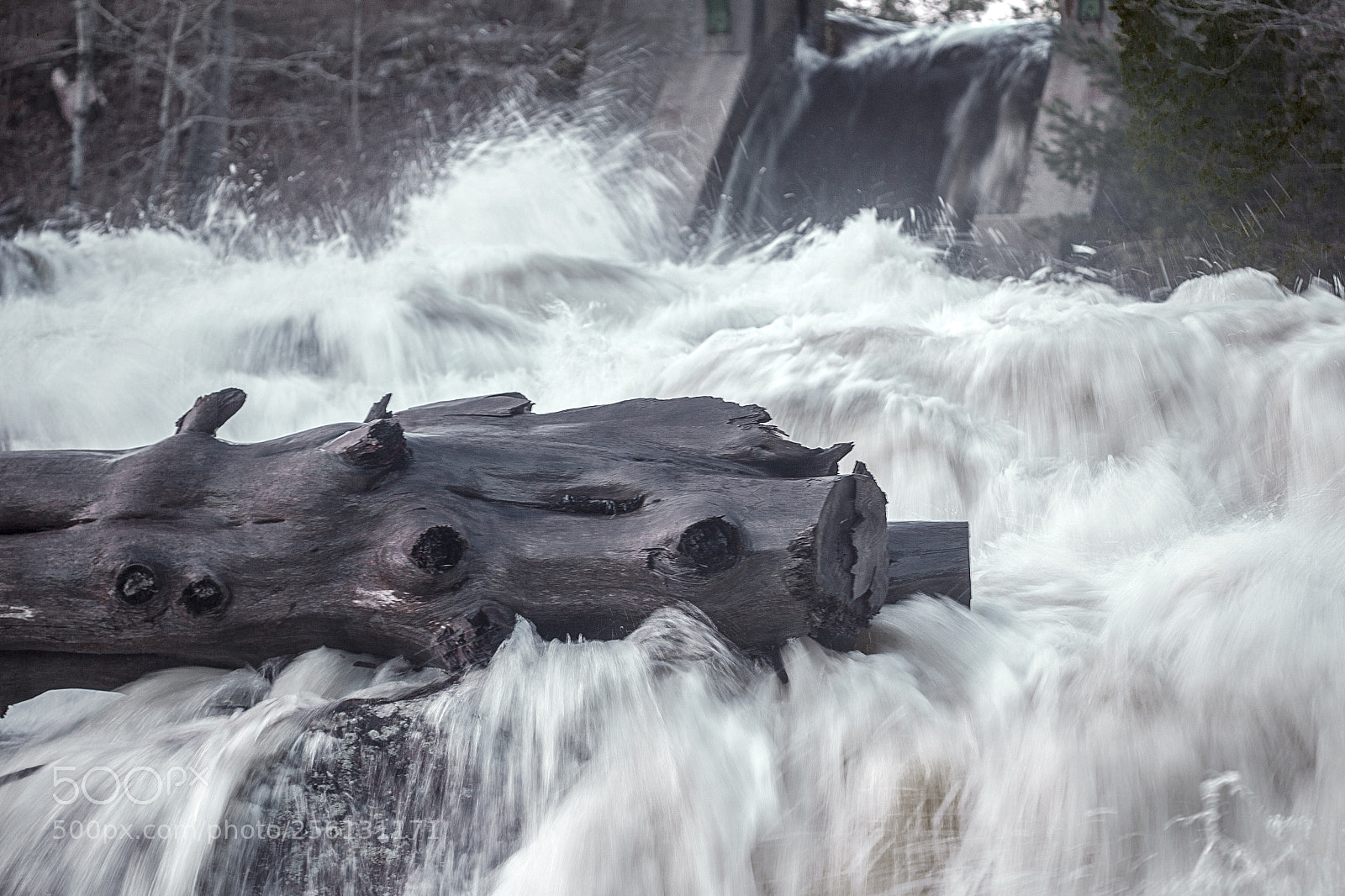 Canon EOS 6D sample photo. Log photography