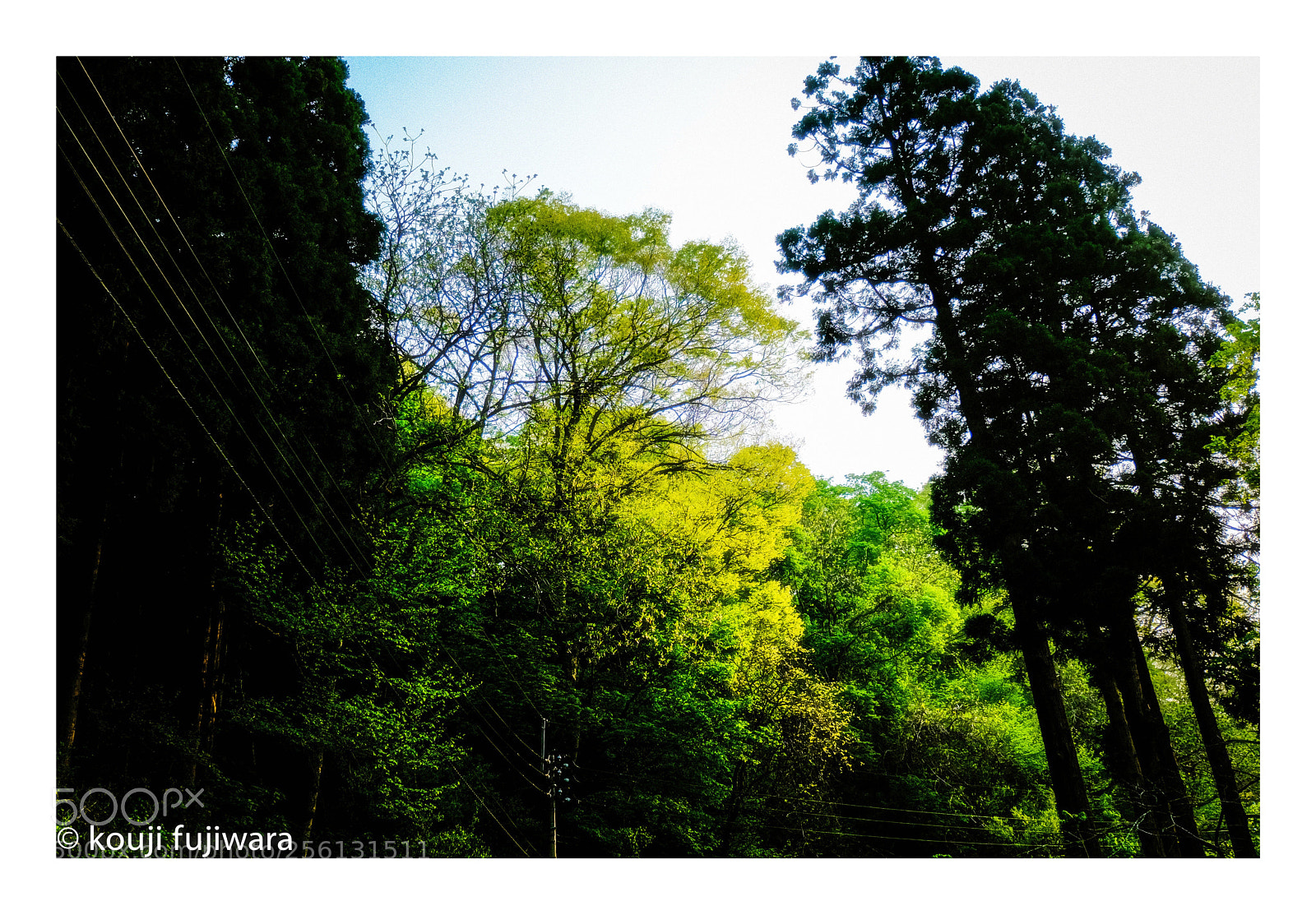 Fujifilm X-T2 sample photo. The season of fresh photography