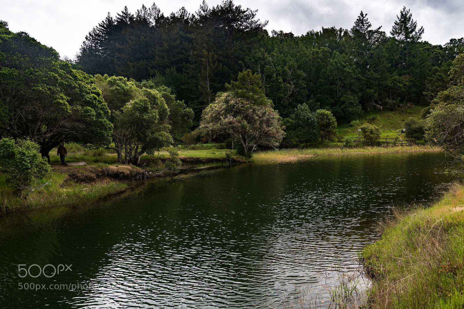 Nikon D850 sample photo. Idyllic spot for fishing photography