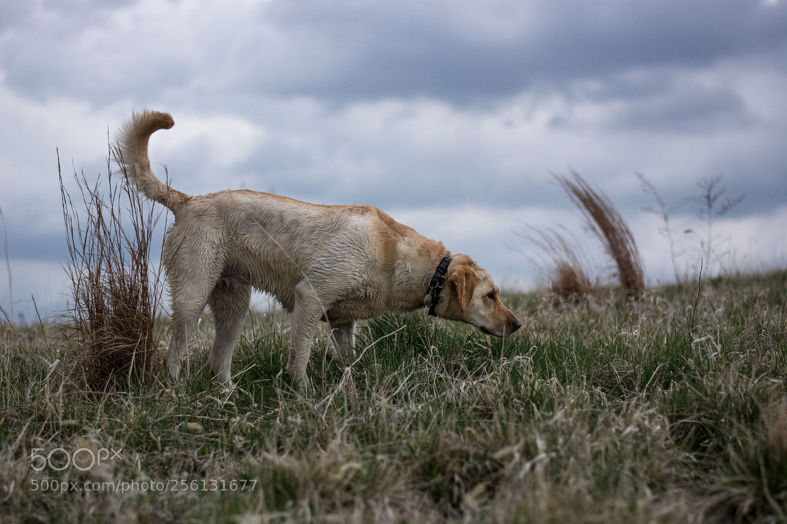 Nikon D7100 sample photo. Before the storm photography