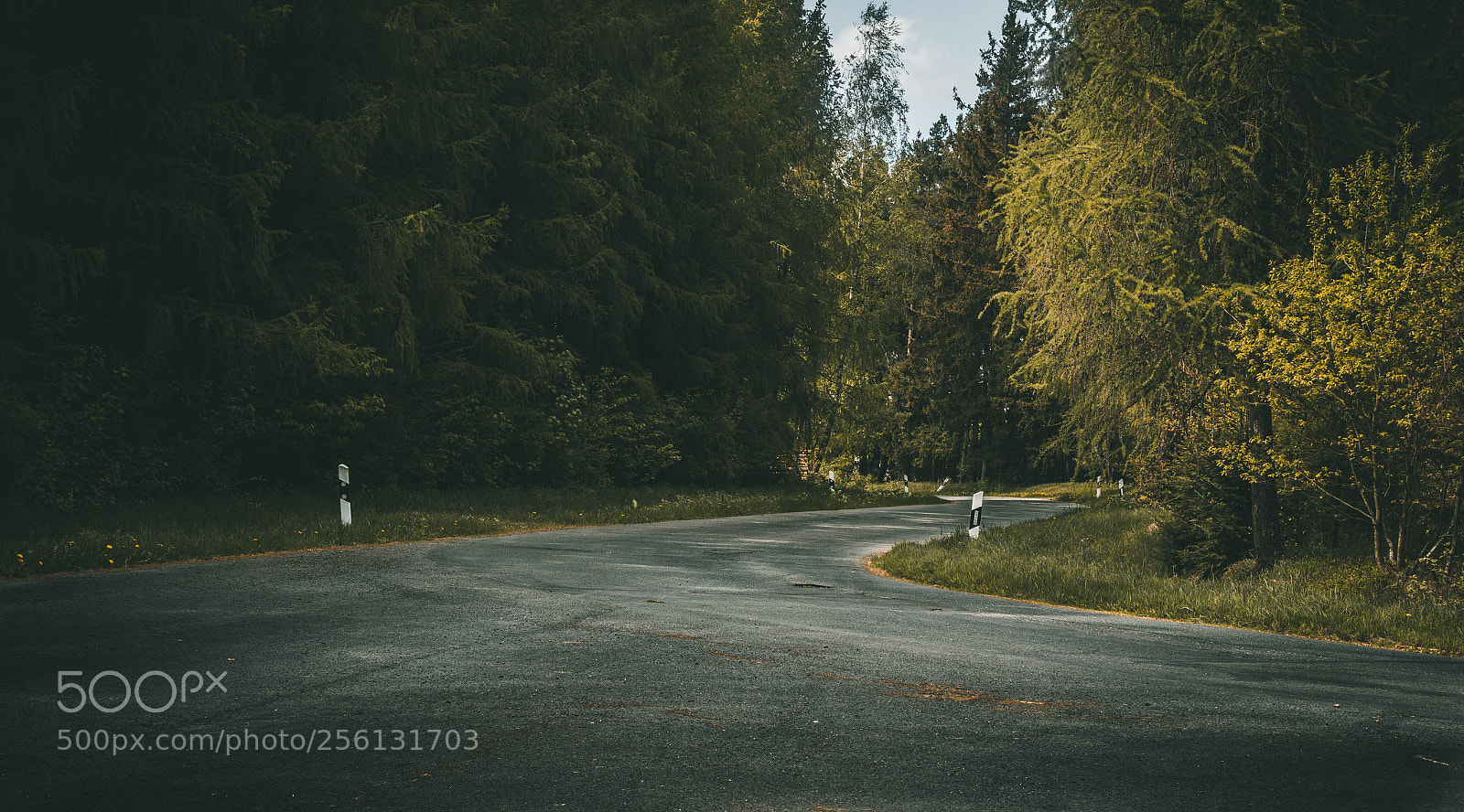 Canon EOS 700D (EOS Rebel T5i / EOS Kiss X7i) sample photo. Forest road photography