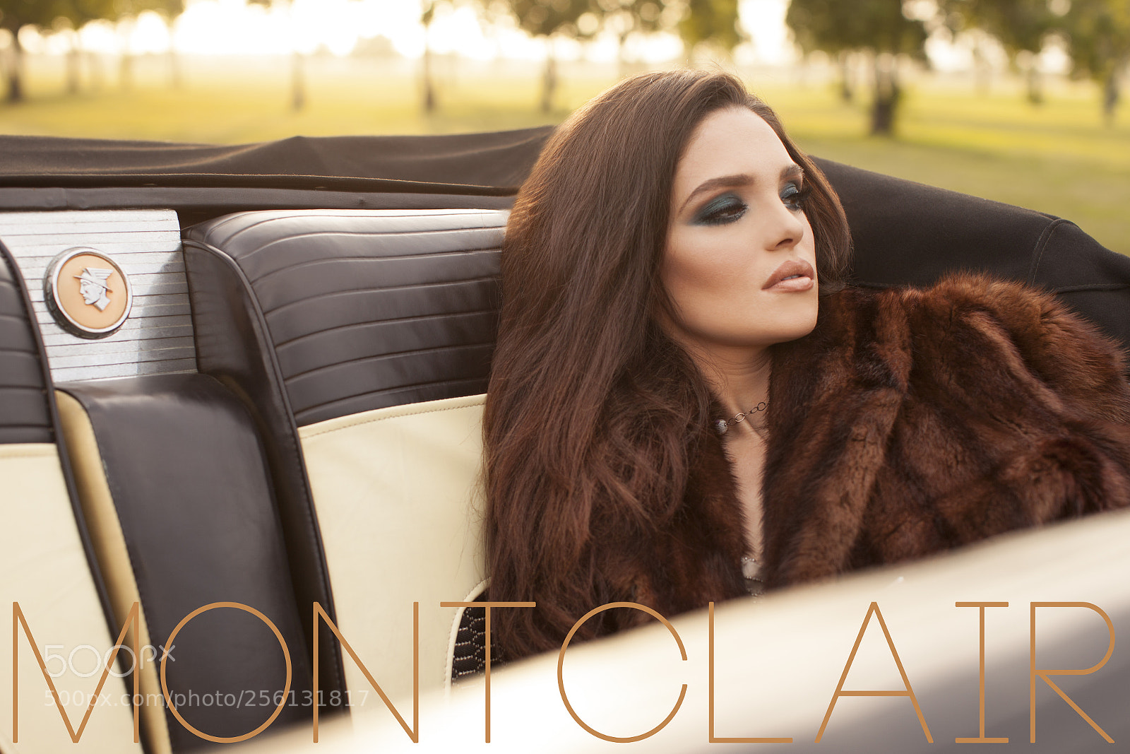 Canon EOS 5D Mark II sample photo. Montclair photography