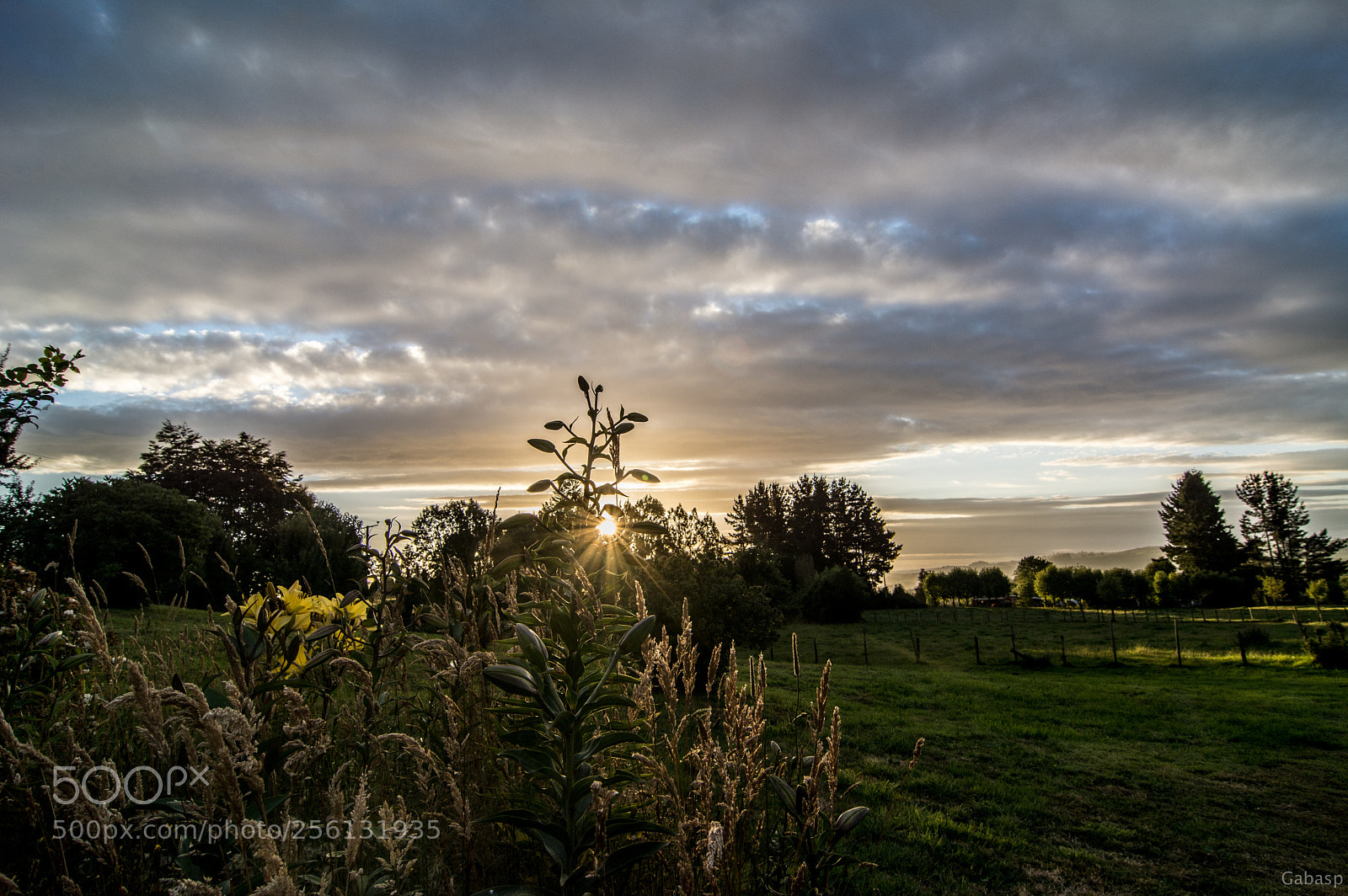 Nikon D7100 sample photo. Sunset photography