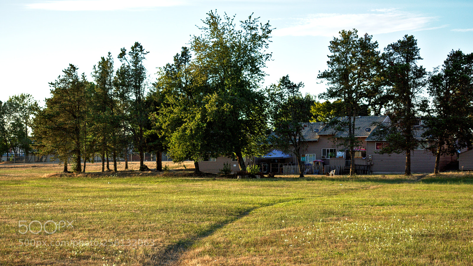 Nikon D3400 sample photo. Desire line photography