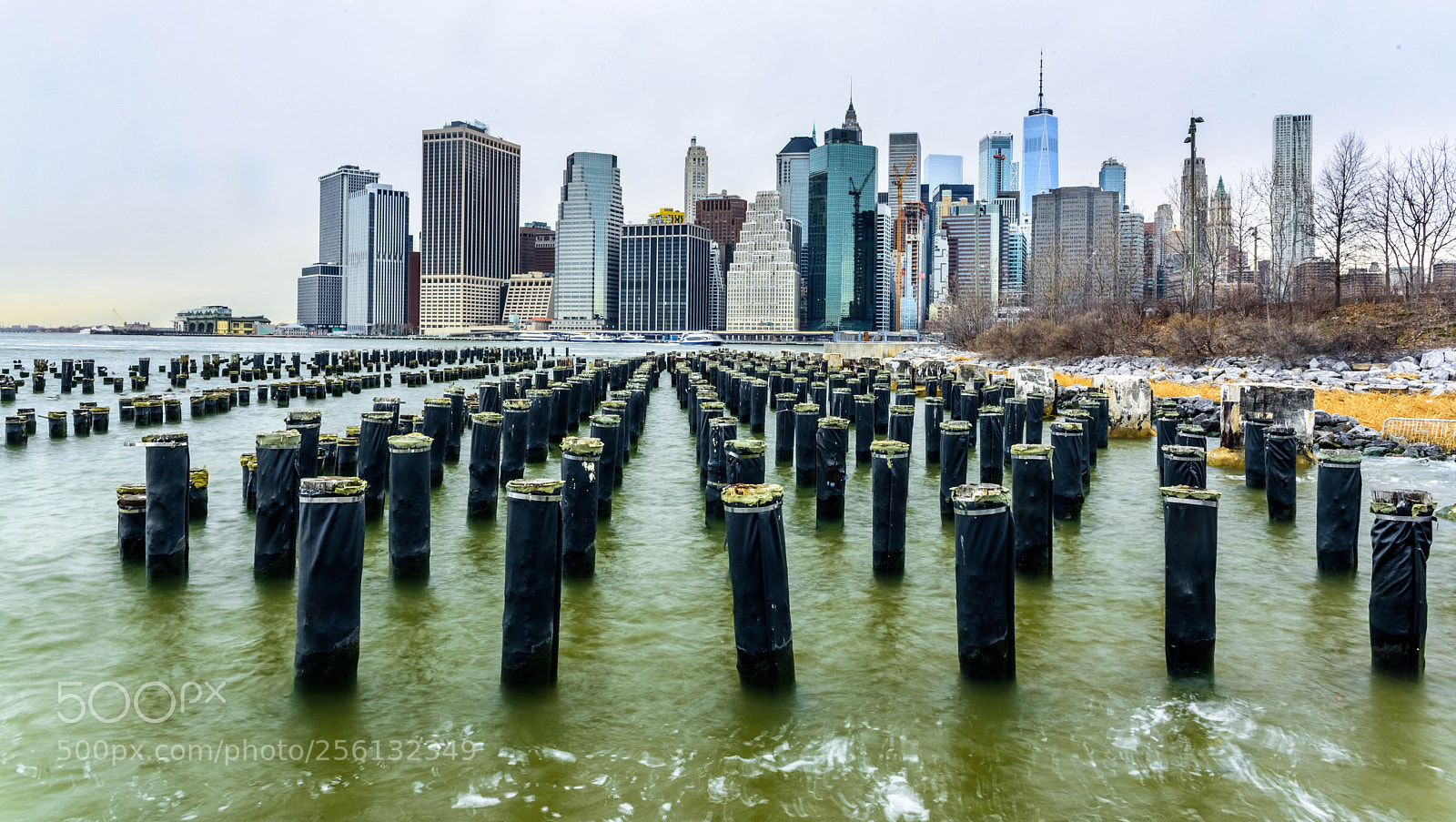 Nikon D750 sample photo. Bkny photography