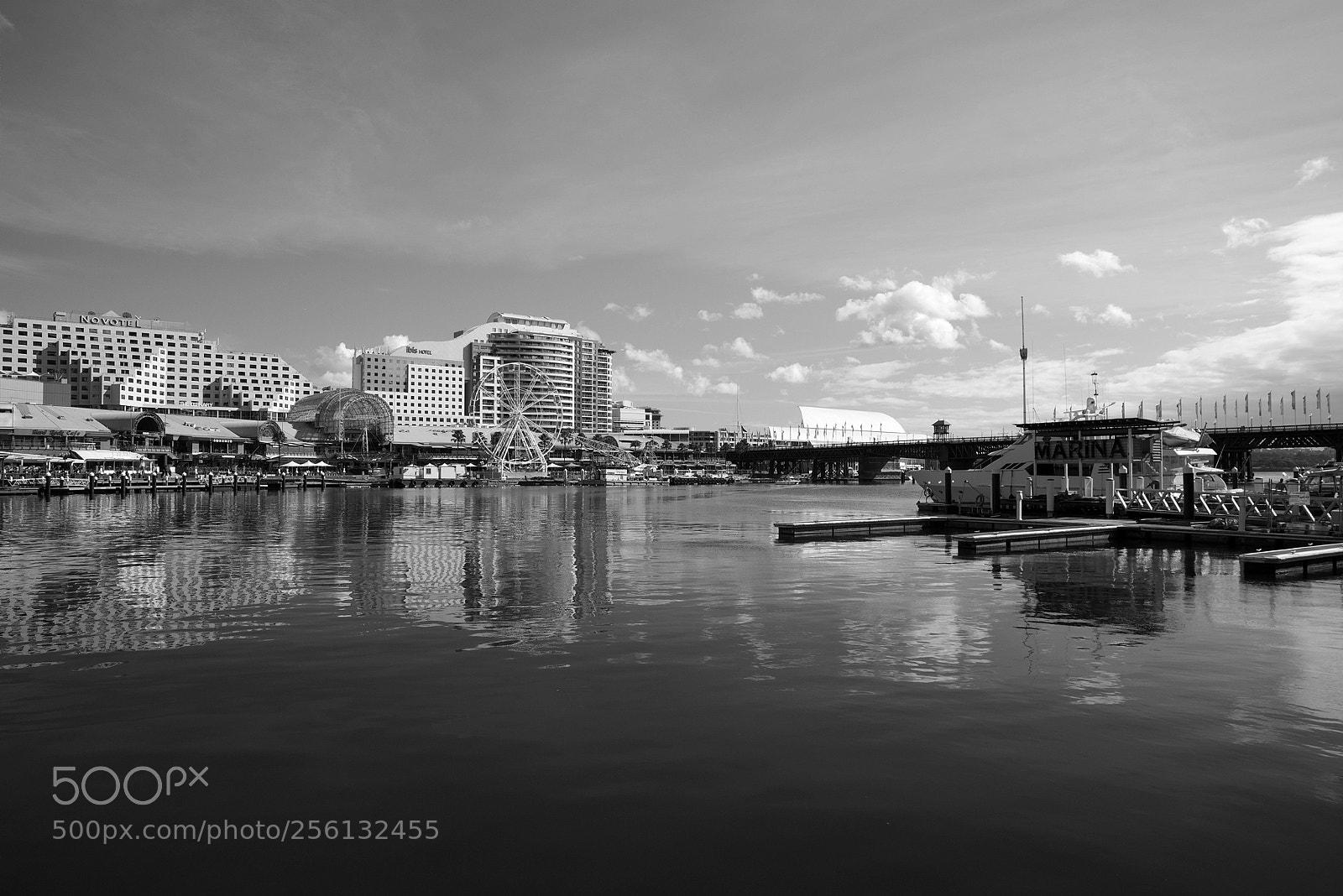 Canon EF 24-70mm F2.8L II USM sample photo. Darling harbour, mid-morning photography