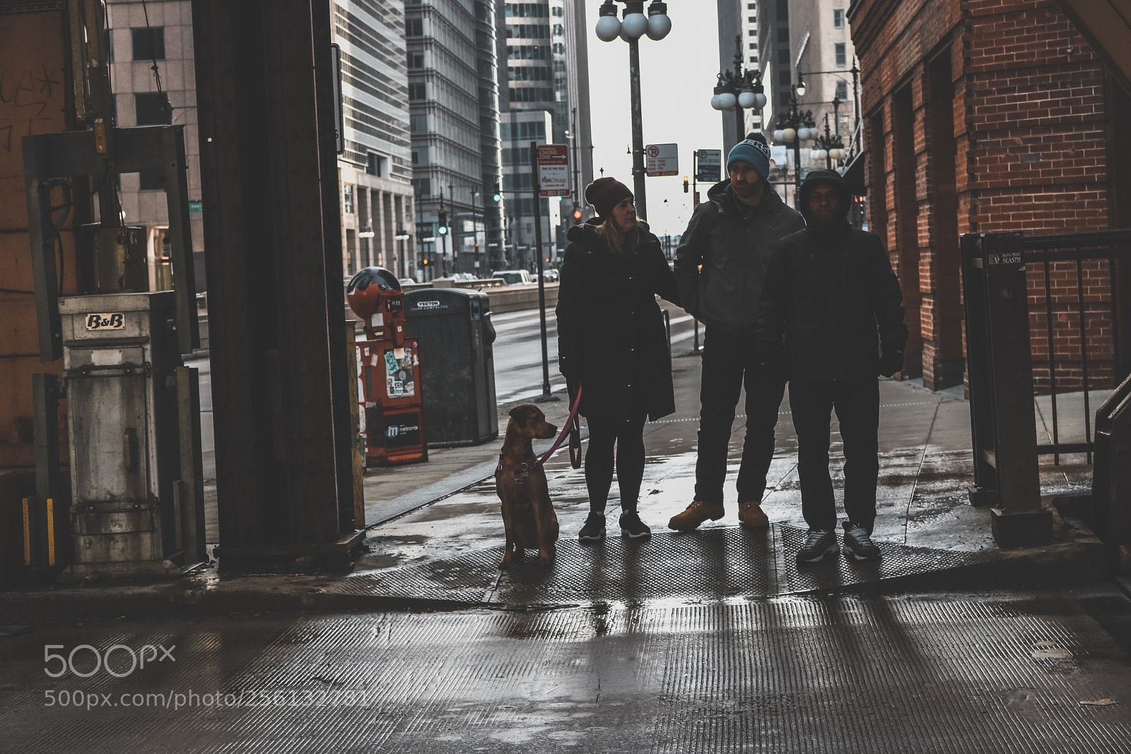 Canon EOS 750D (EOS Rebel T6i / EOS Kiss X8i) sample photo. Downtown chicago photography