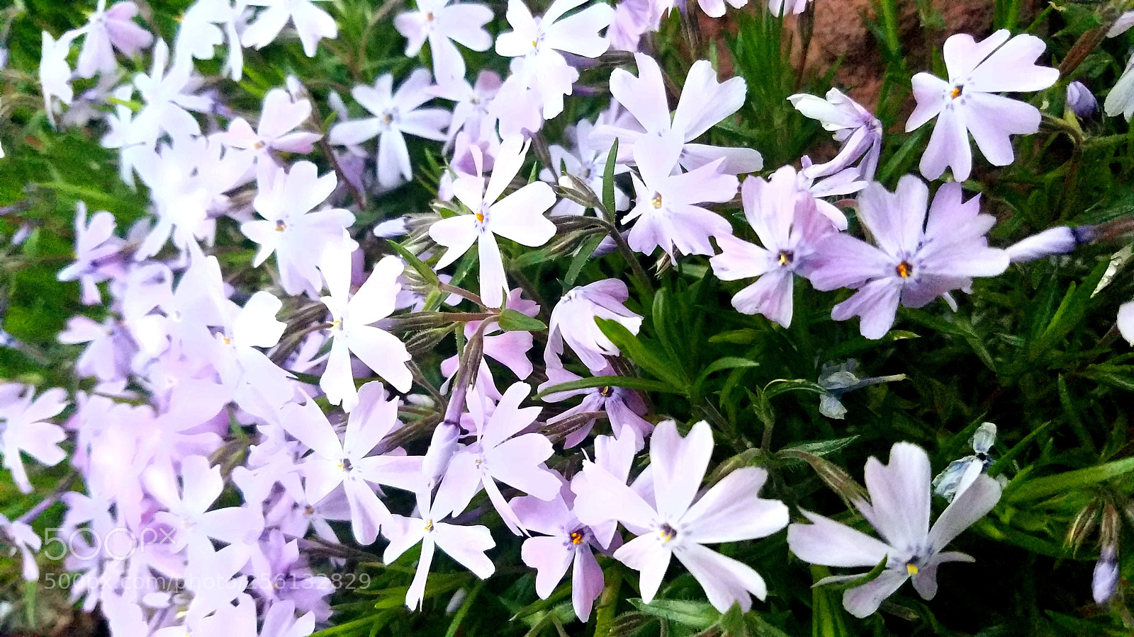 Samsung Galaxy S7 sample photo. Untitled photography