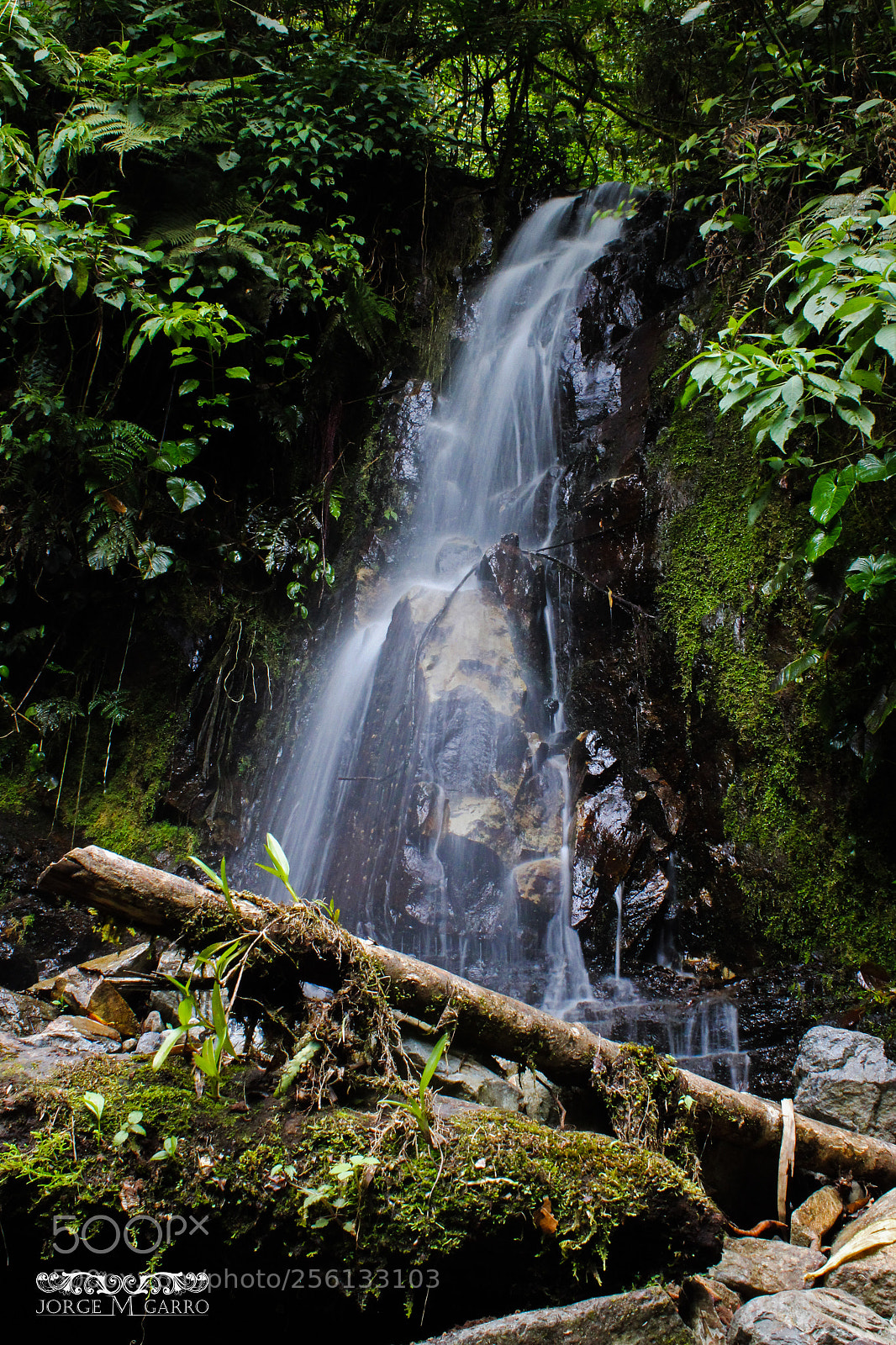 Canon EOS 1200D (EOS Rebel T5 / EOS Kiss X70 / EOS Hi) sample photo. Waterfall monte sky photography