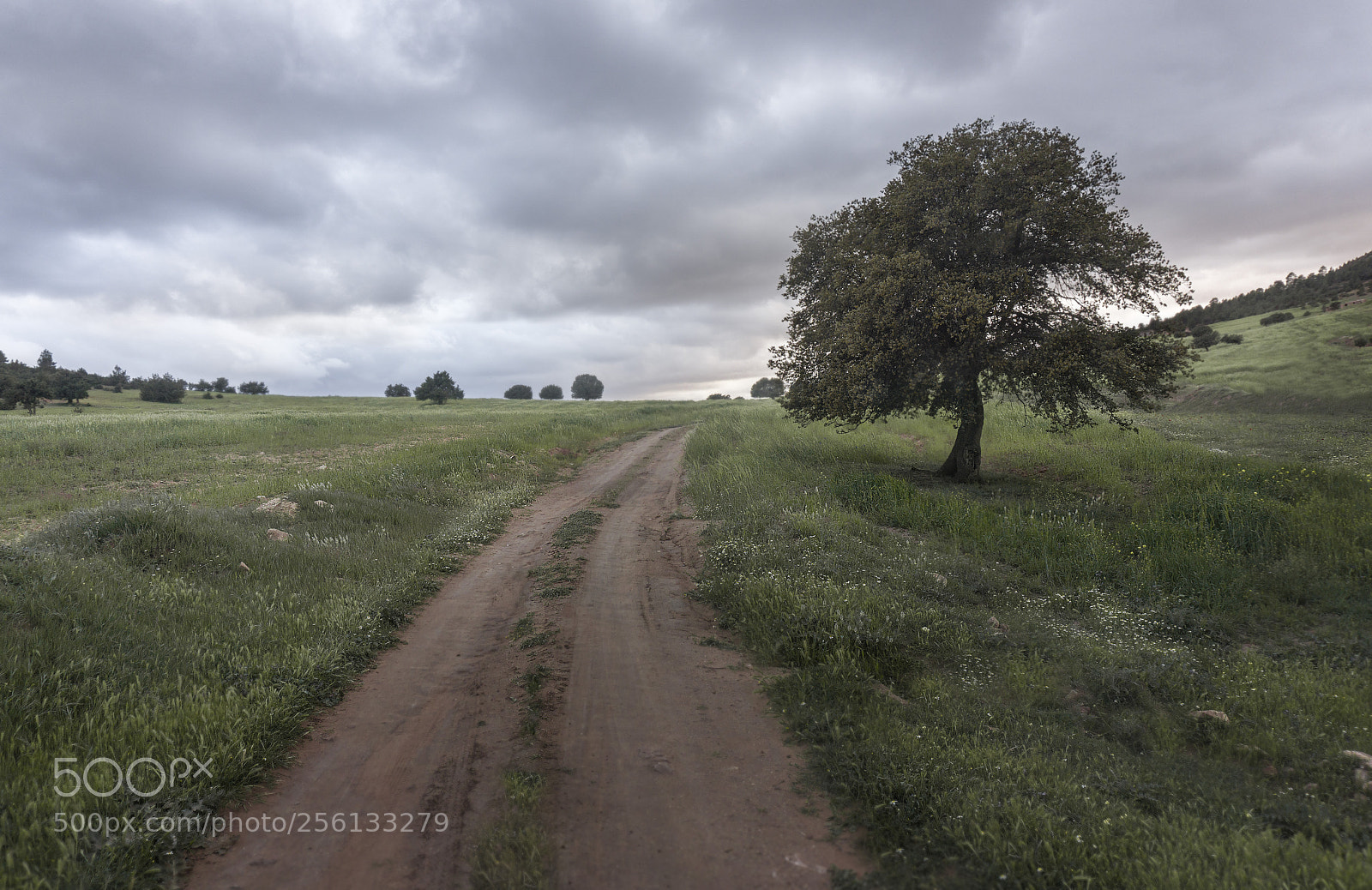 Sony a6000 sample photo. As smart object photography