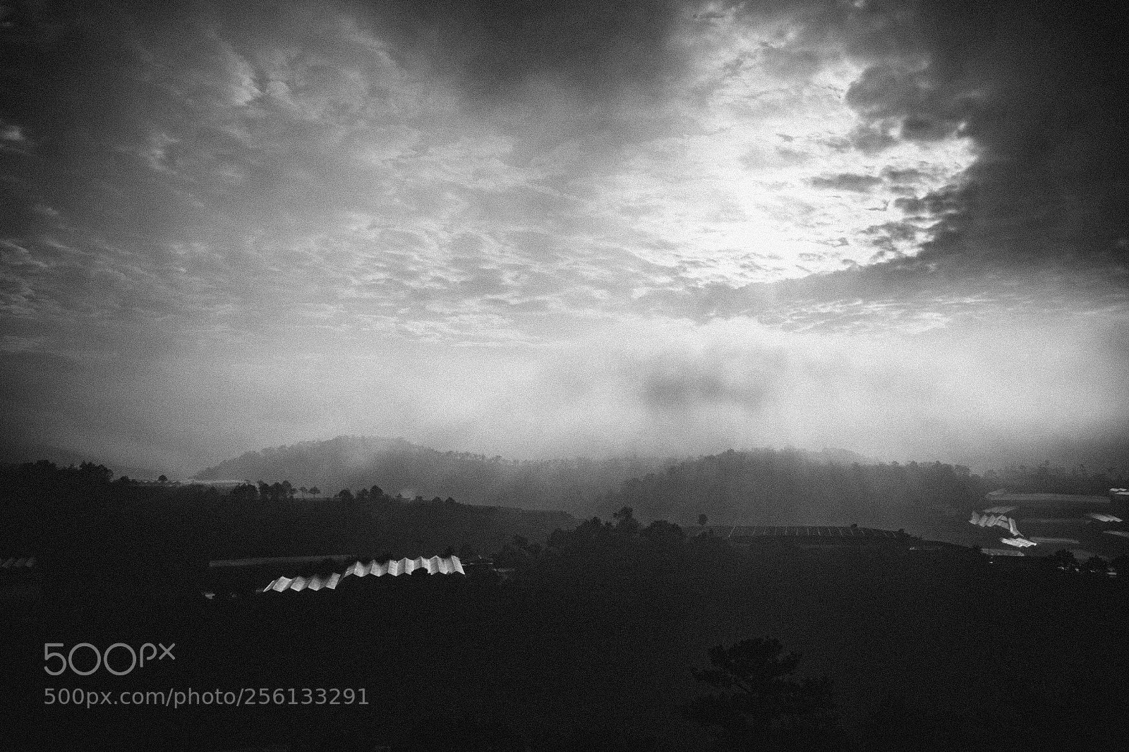 Canon EOS 6D sample photo. Dalat - p.2 photography