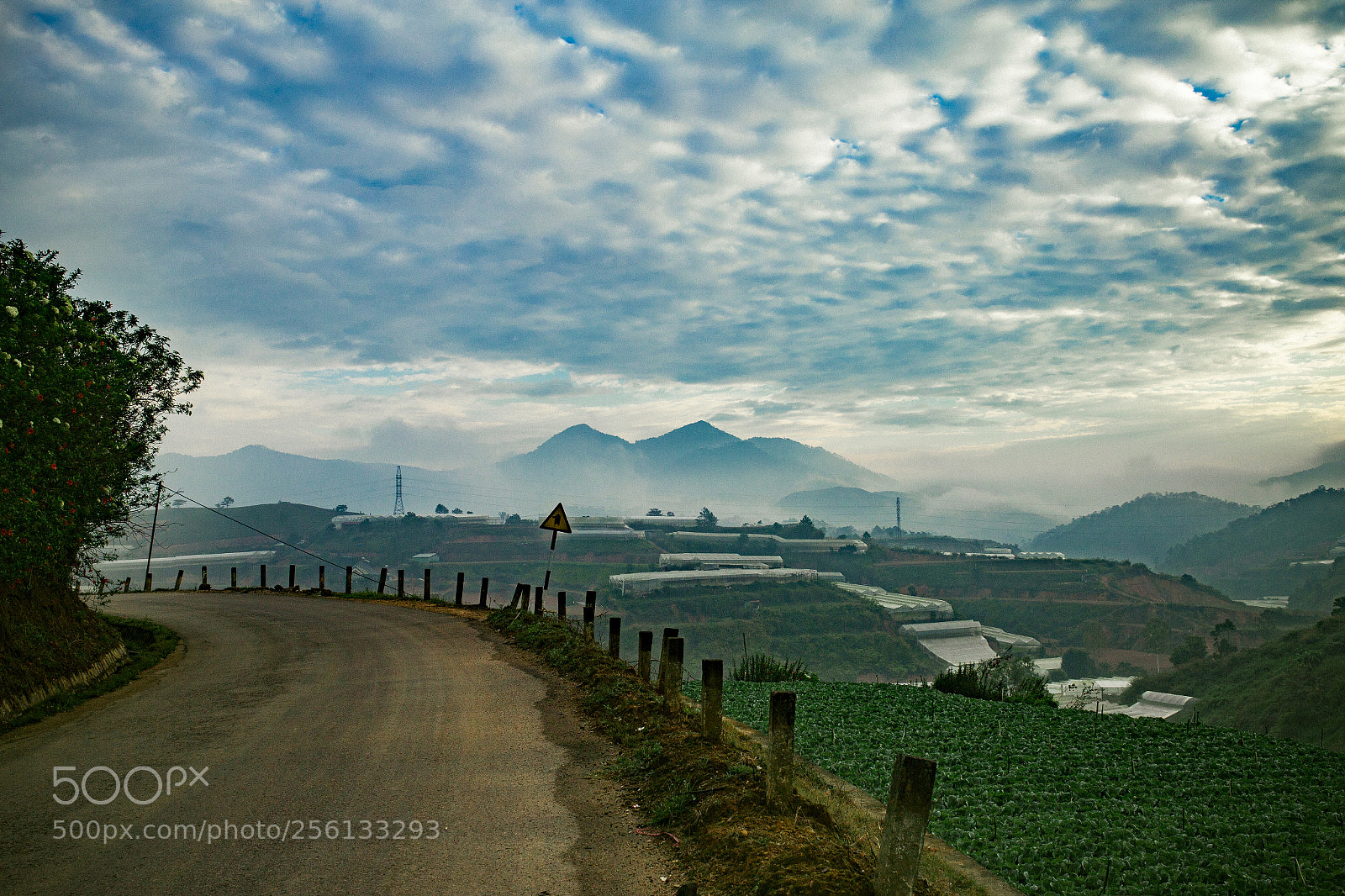 Canon EOS 6D sample photo. Dalat - p.2 photography