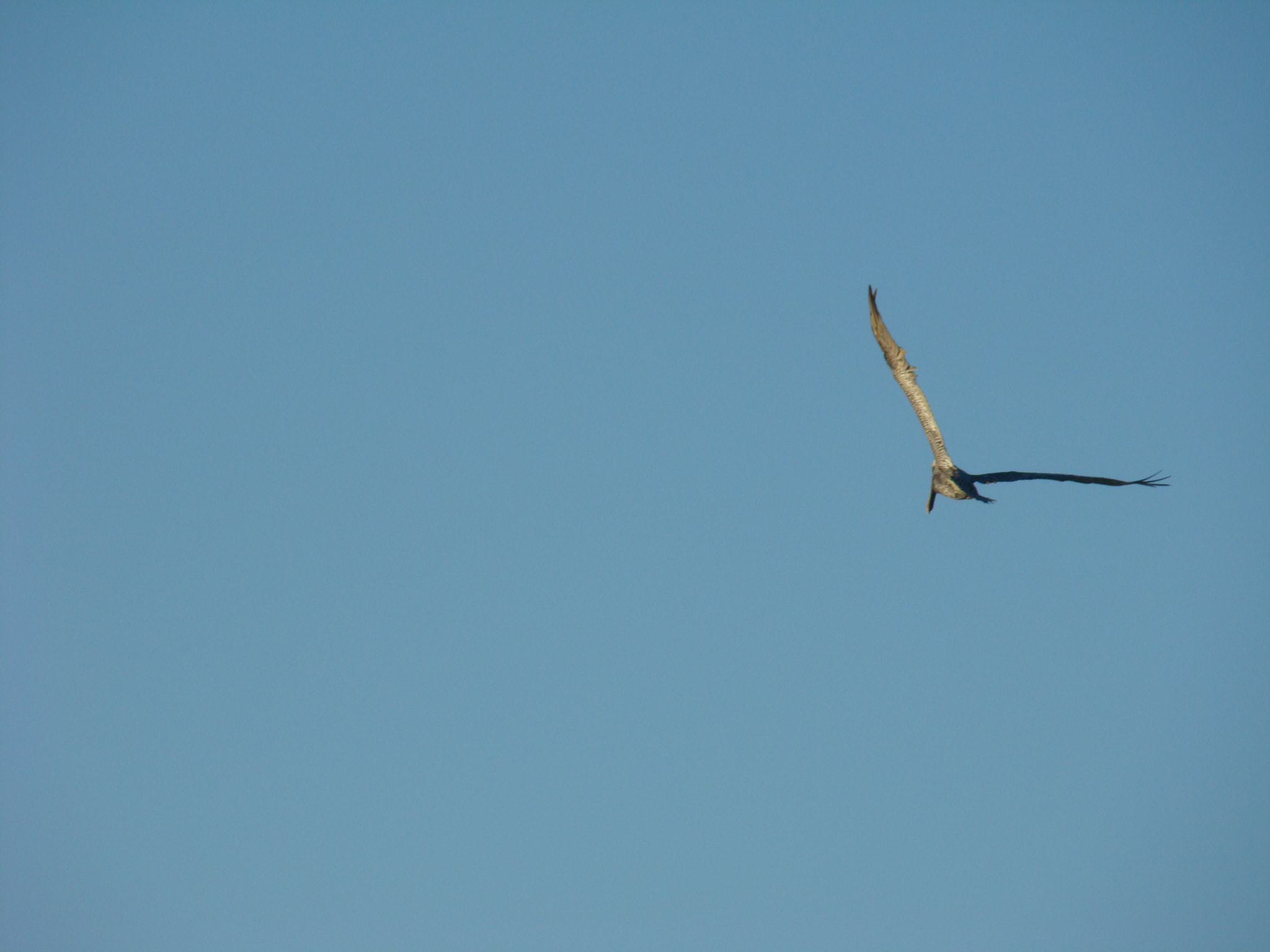 Sony DSC-H7 sample photo. Blue photography