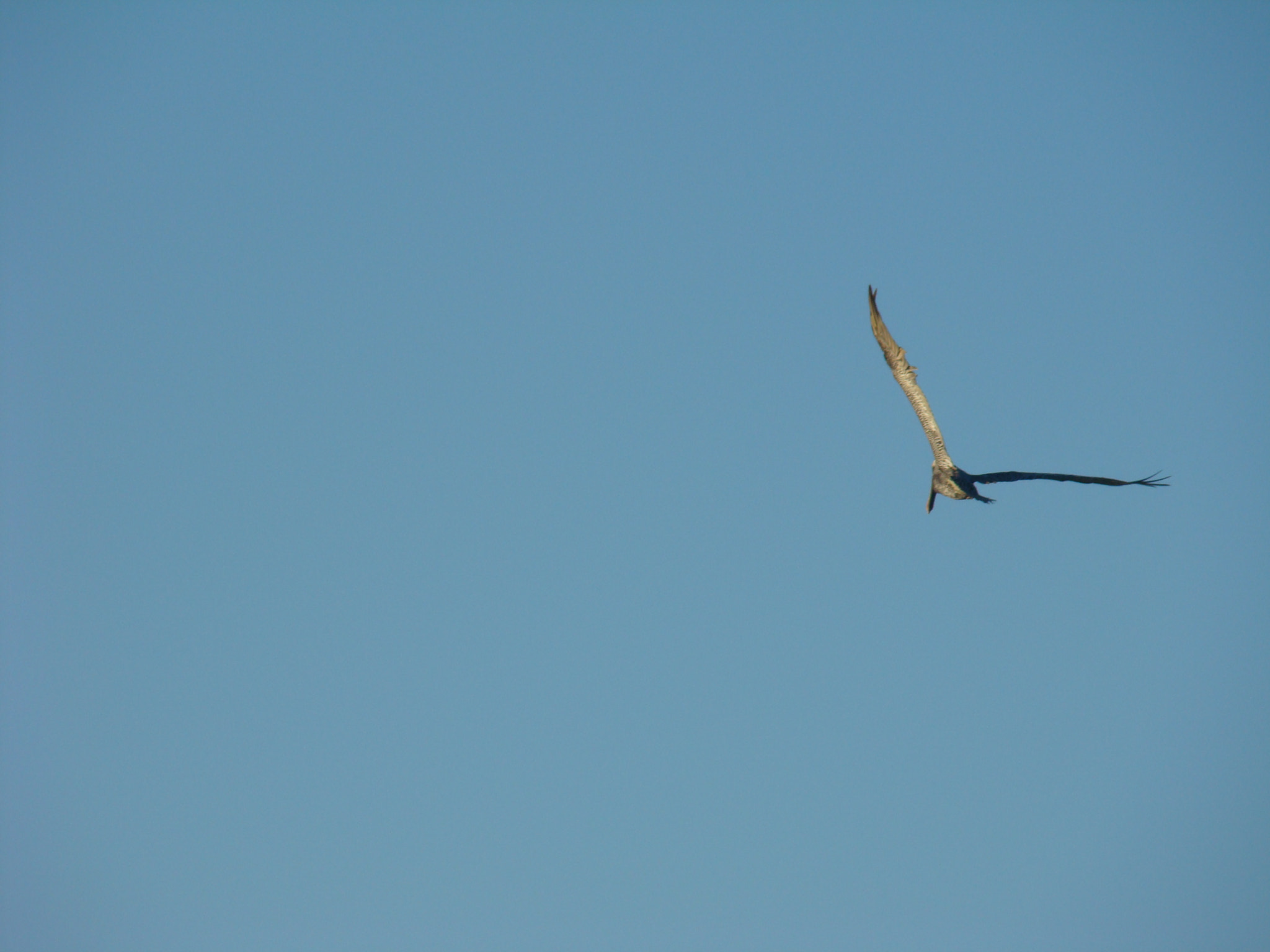 Sony DSC-H7 sample photo. Blue photography