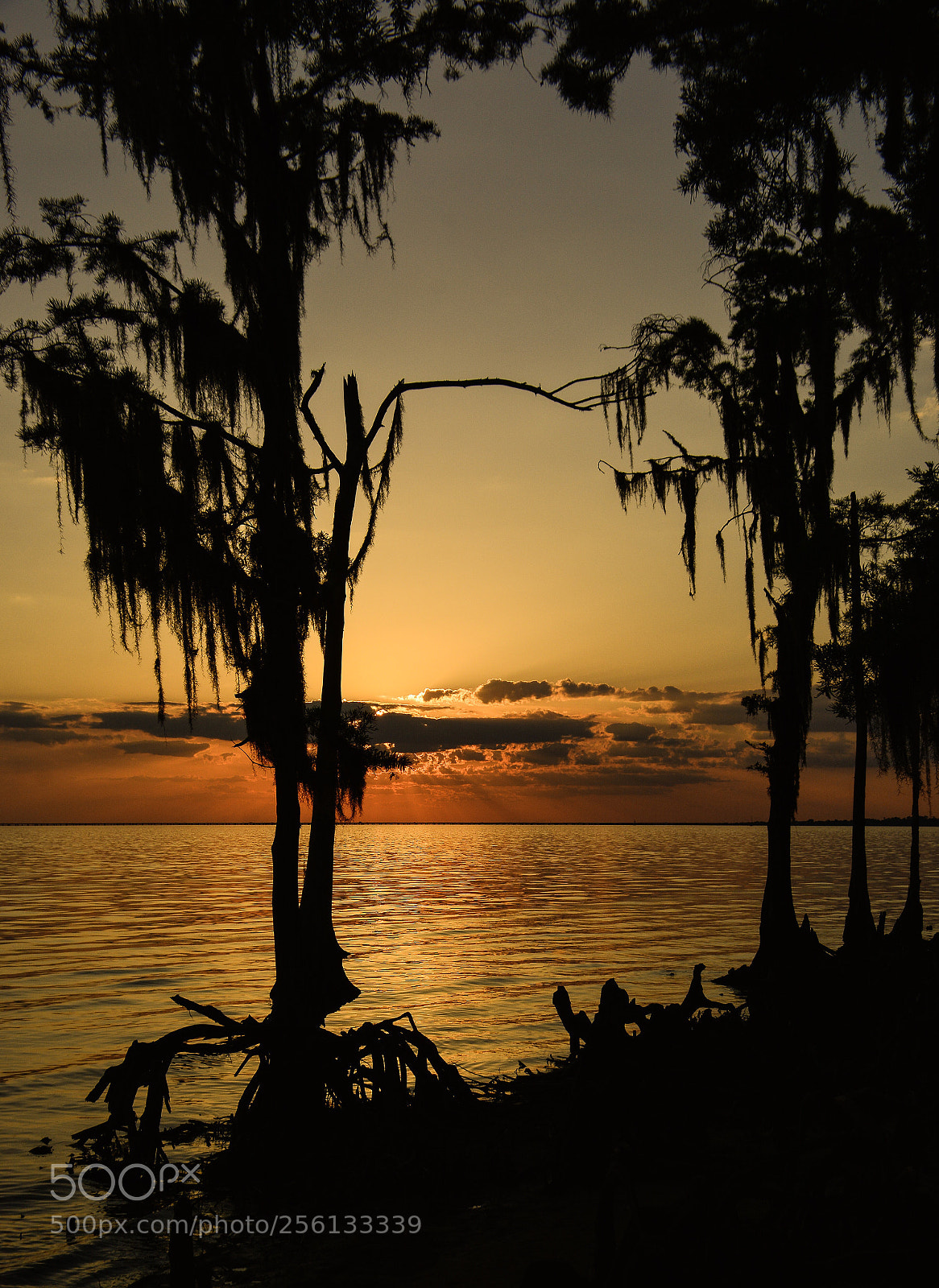 Nikon D7100 sample photo. Sunset in louisiana photography