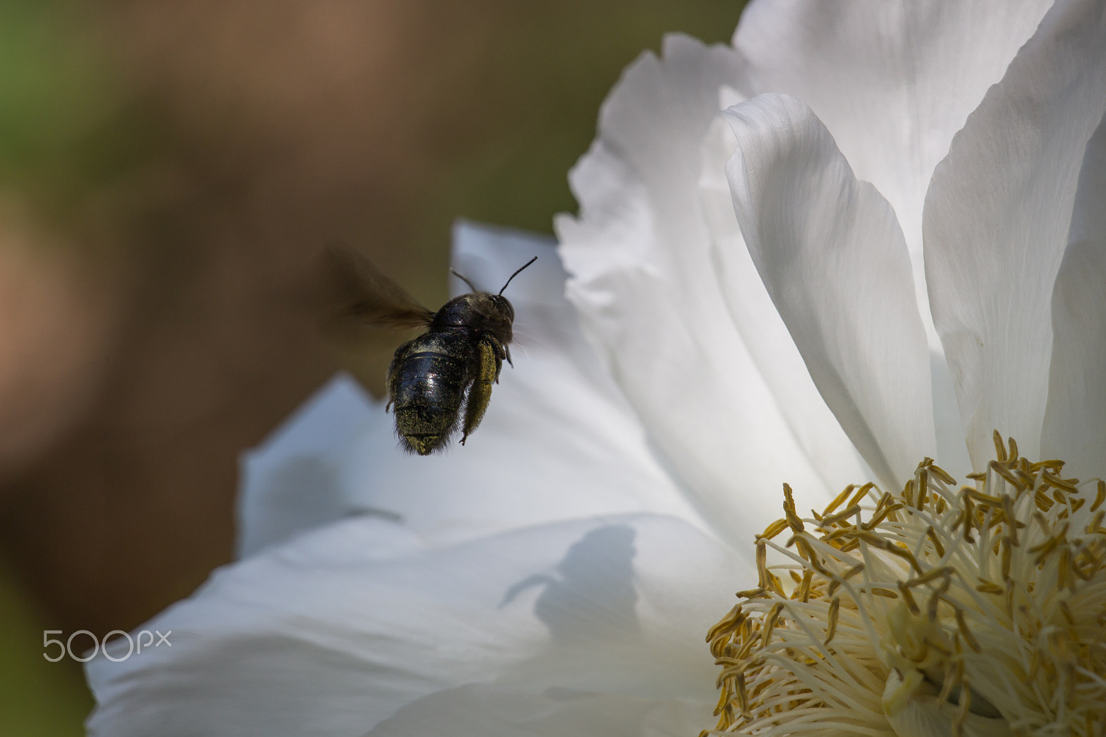 Canon EOS 700D (EOS Rebel T5i / EOS Kiss X7i) sample photo. Carpenter at work photography