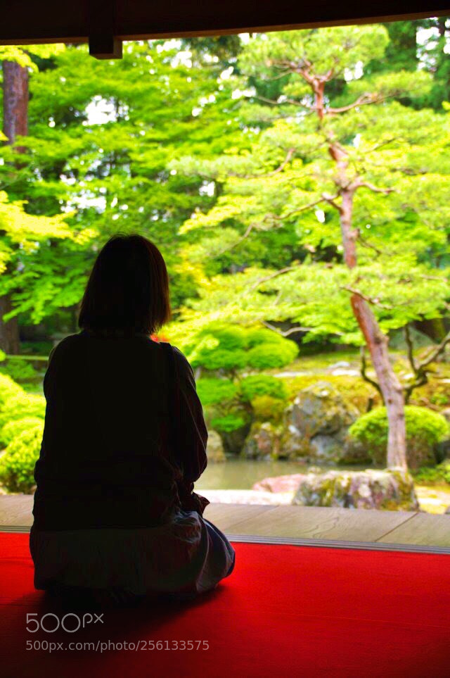 Pentax K-3 II sample photo. Look at the garden photography
