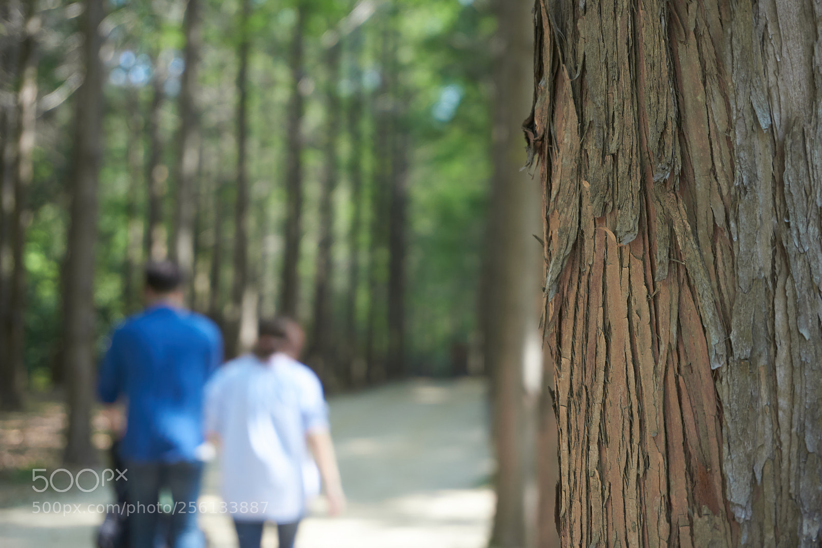 Sony a6000 sample photo. Untitled photography