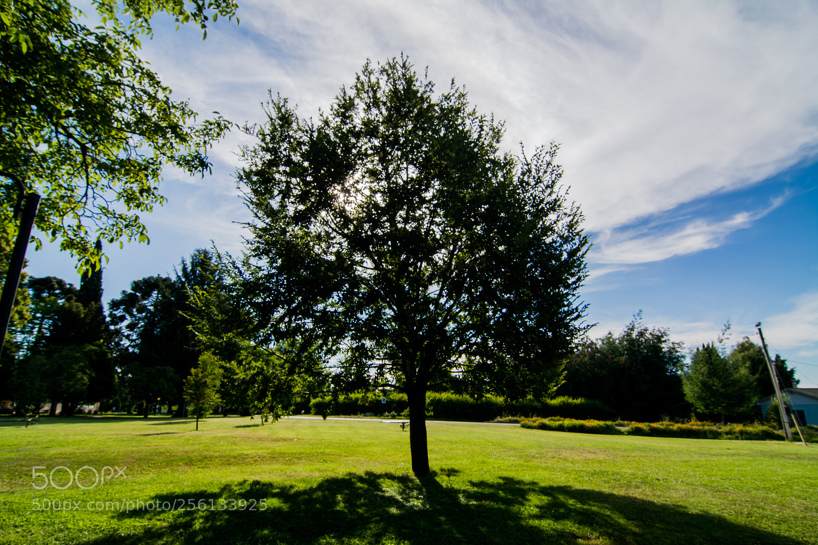 Nikon D7100 sample photo. Dddeo photography
