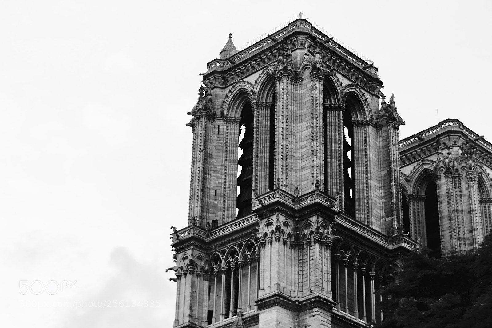 Canon EOS 1300D (EOS Rebel T6 / EOS Kiss X80) sample photo. Notre dame cathedral photography