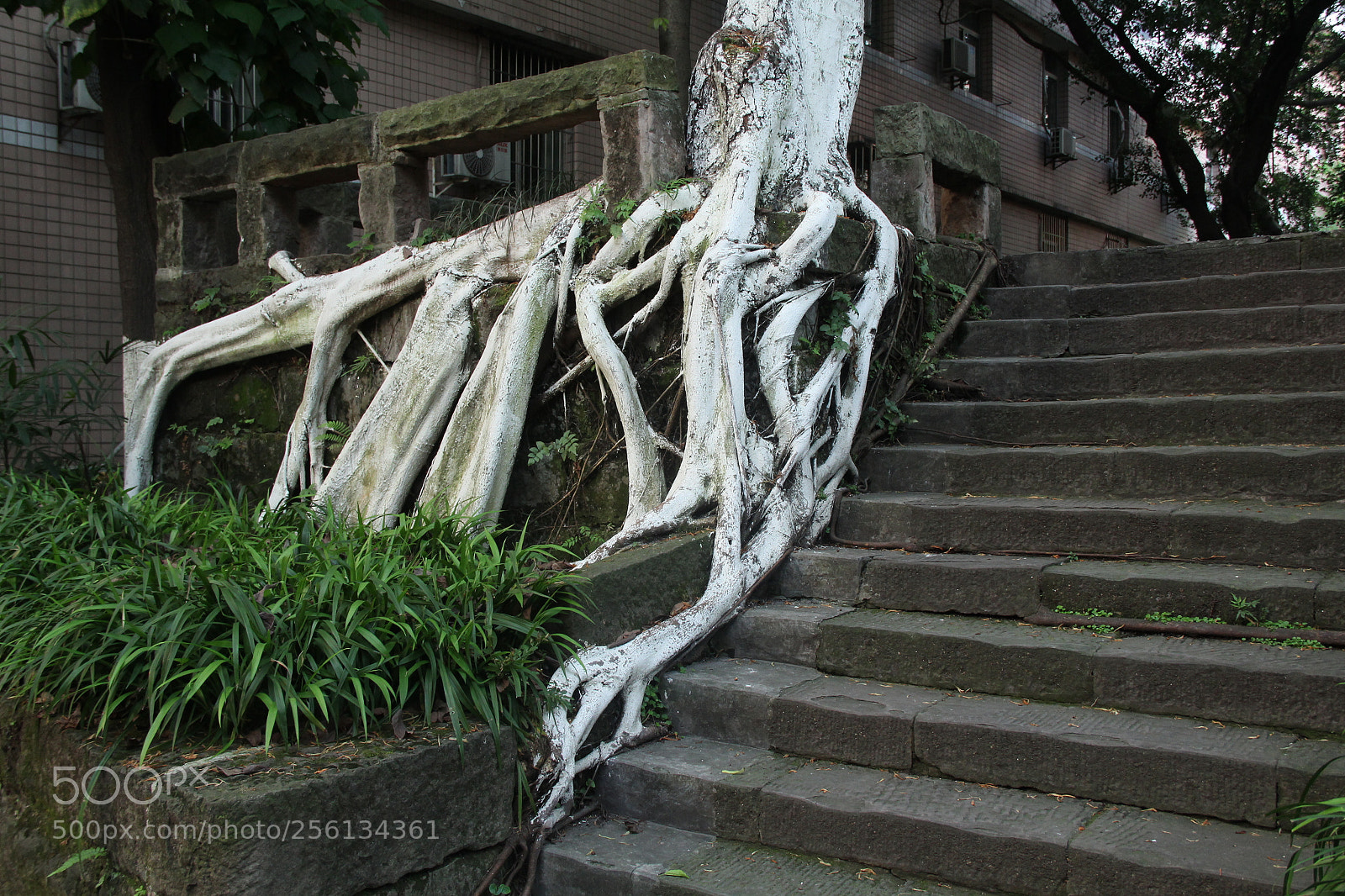 Canon EF-S 18-135mm F3.5-5.6 IS sample photo. Untitled photography