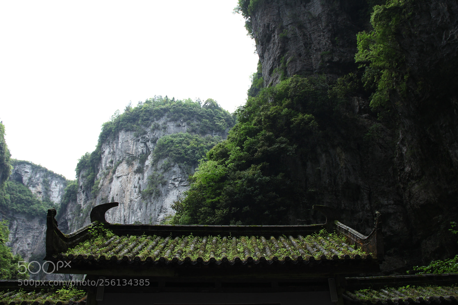 Canon EF-S 18-135mm F3.5-5.6 IS sample photo. Untitled photography