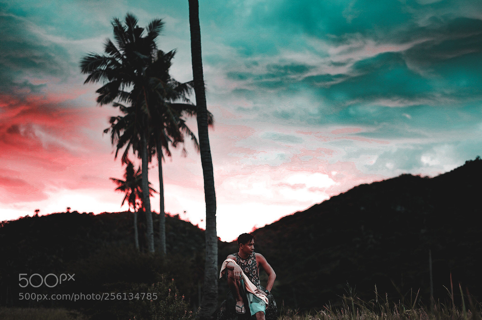 Sony a7S sample photo. Untitled photography