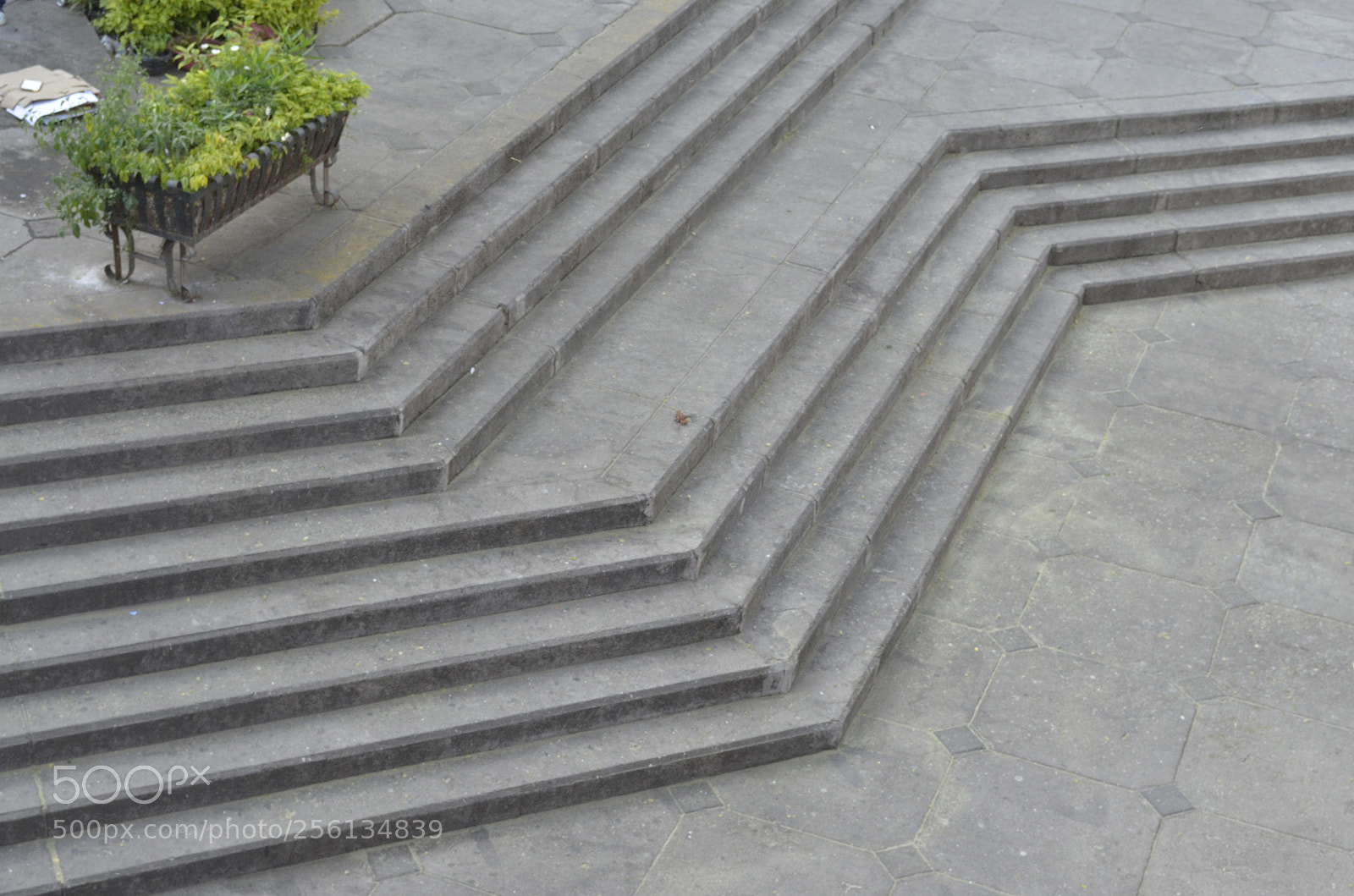Nikon D5100 sample photo. Untitled photography