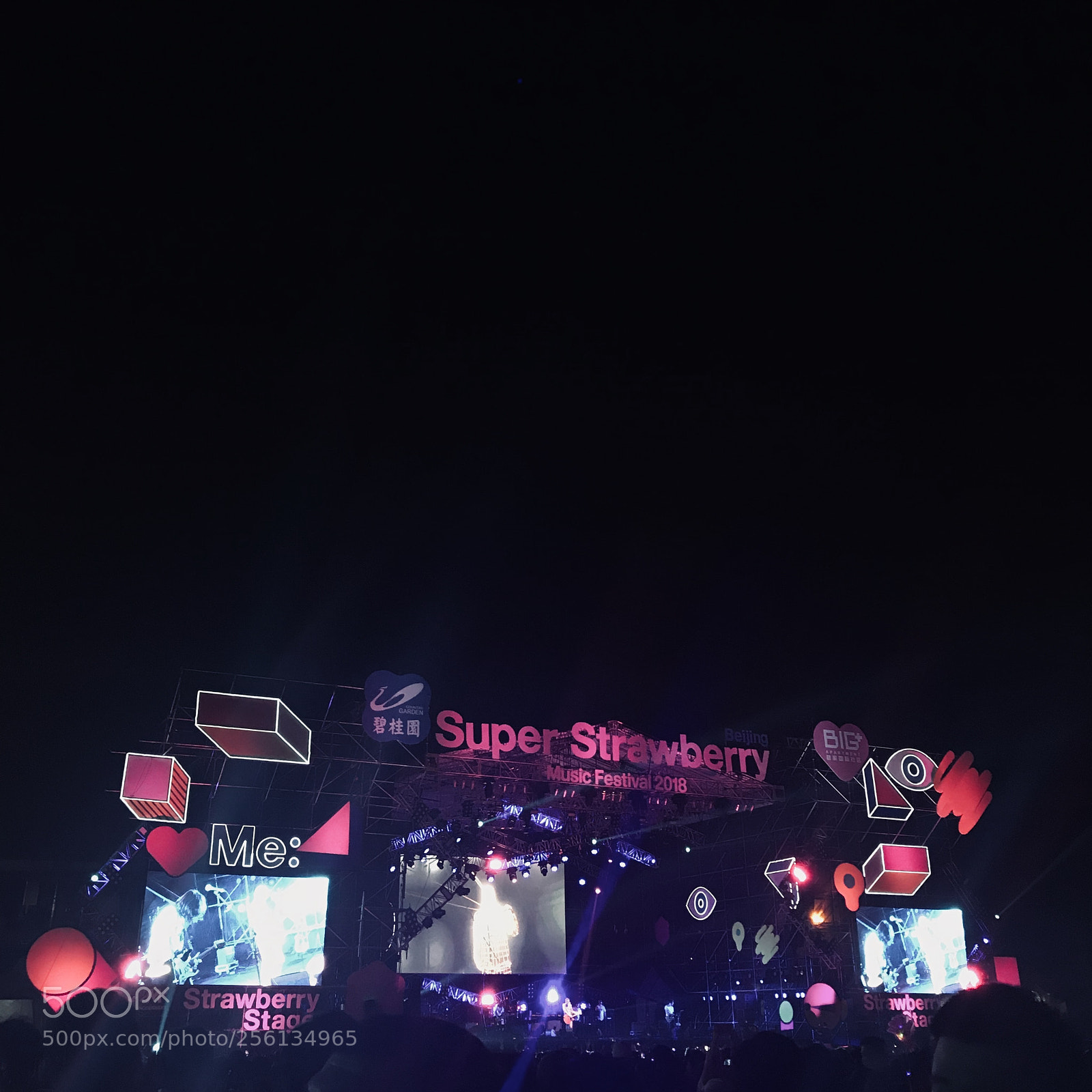 Apple iPhone 7 Plus sample photo. Music festival photography