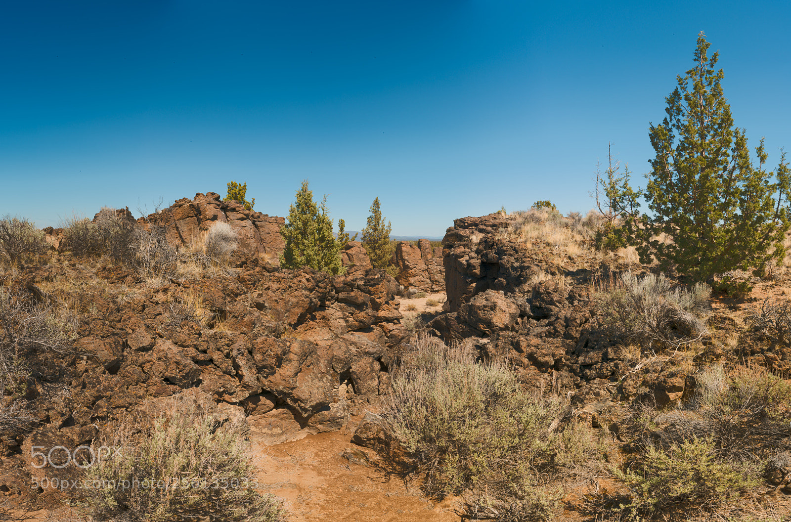 Sony a7R II sample photo. Out-lands photography