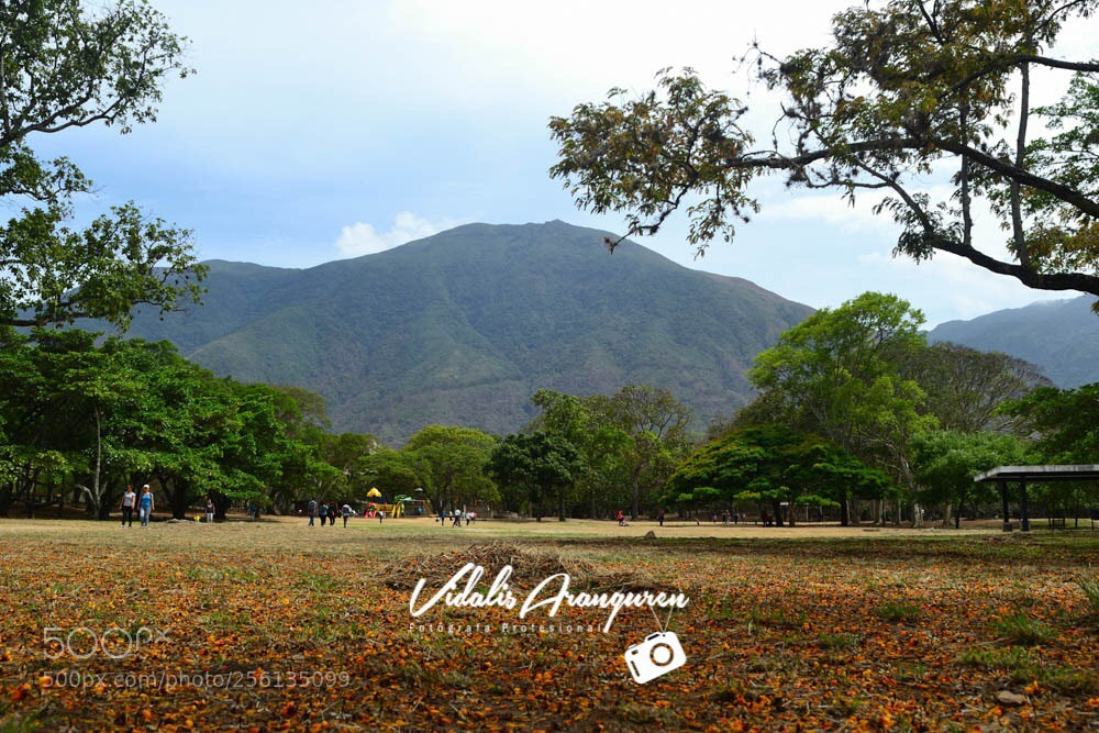 Nikon D3100 sample photo. Cerro el Ávila  photography