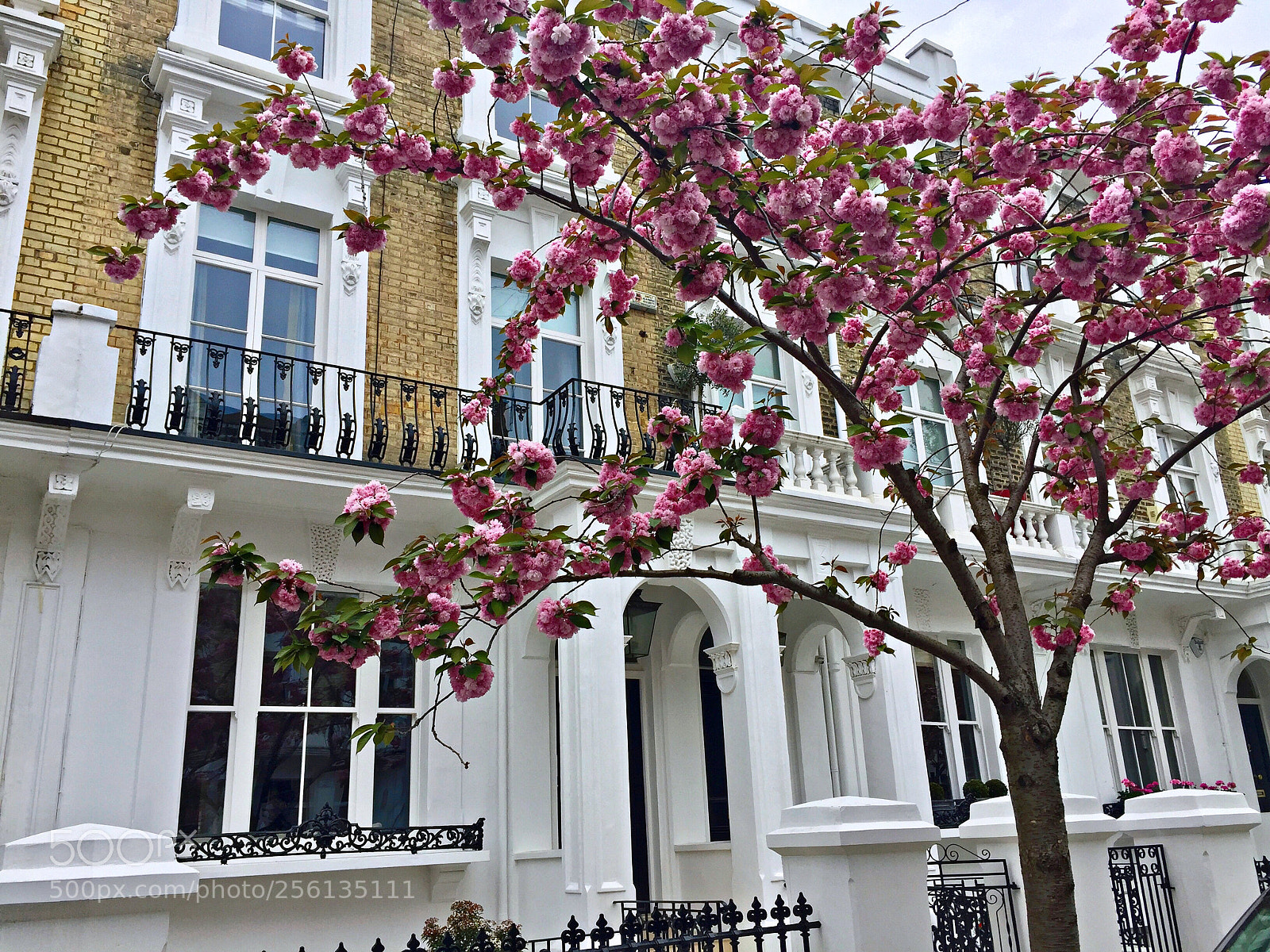 Apple iPhone 6 sample photo. Springtime in london photography