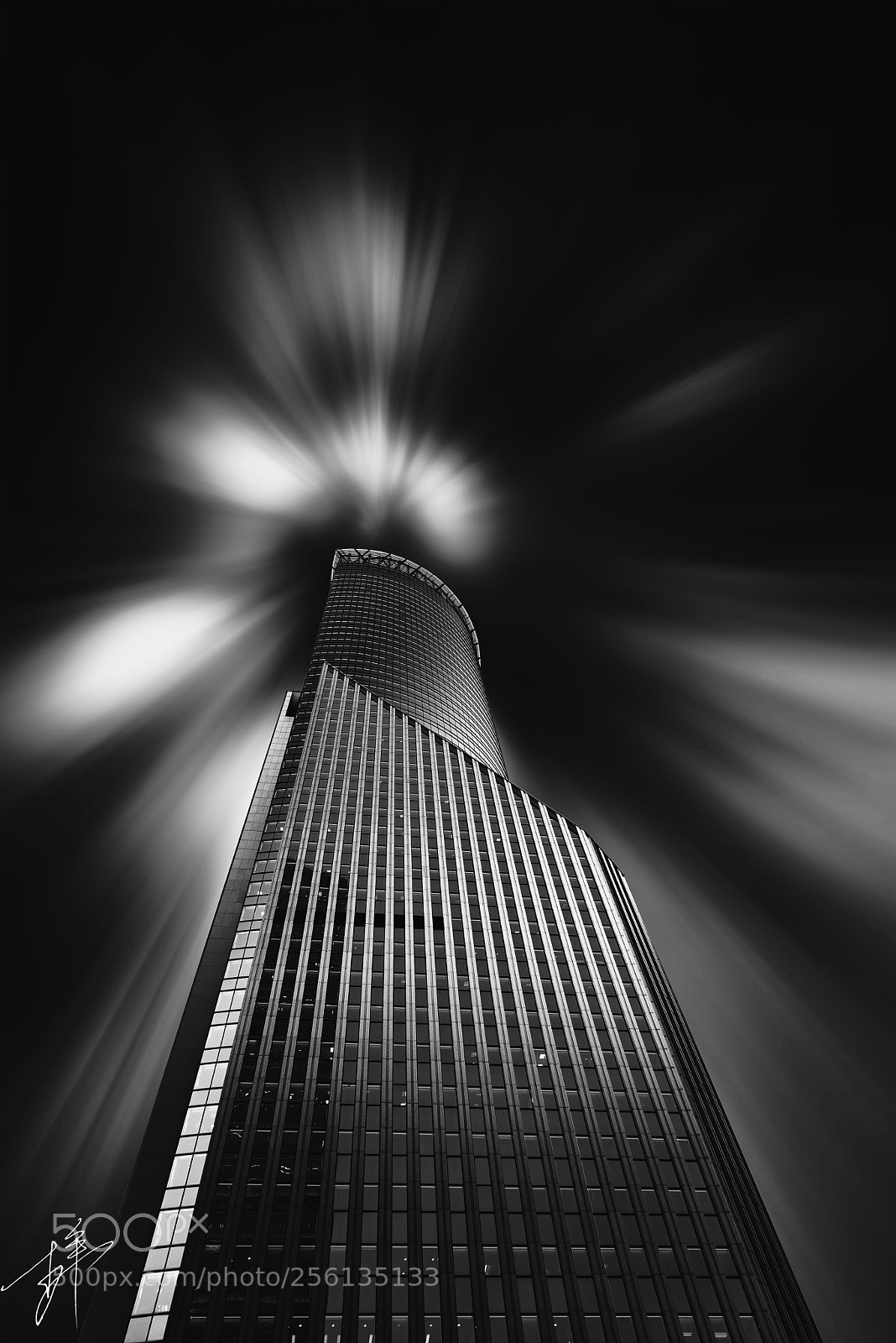 Nikon D750 sample photo. Untitled photography