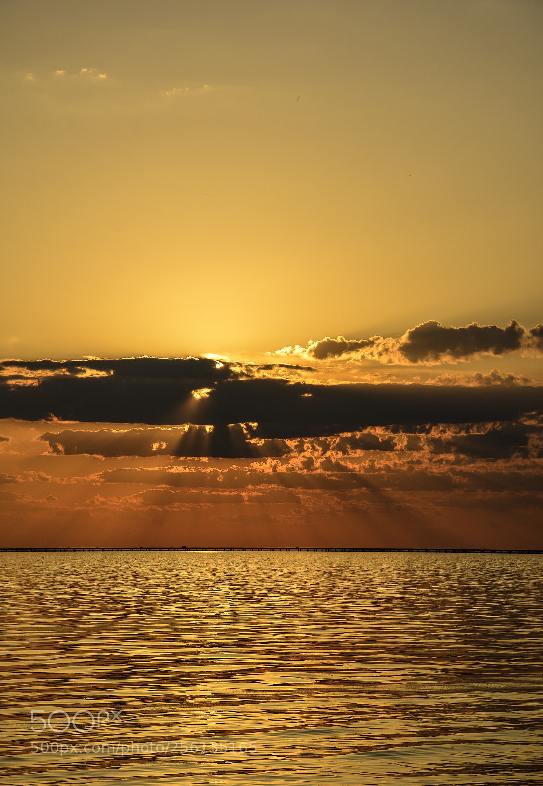 Nikon D7100 sample photo. Louisiana evening photography