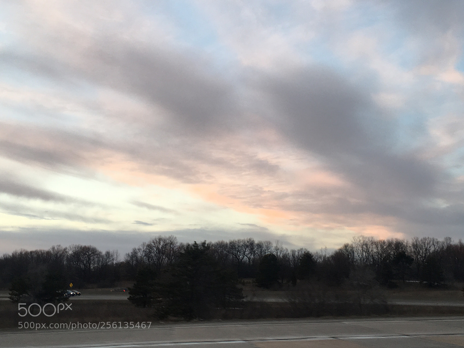 Apple iPhone 6s sample photo. Untitled photography