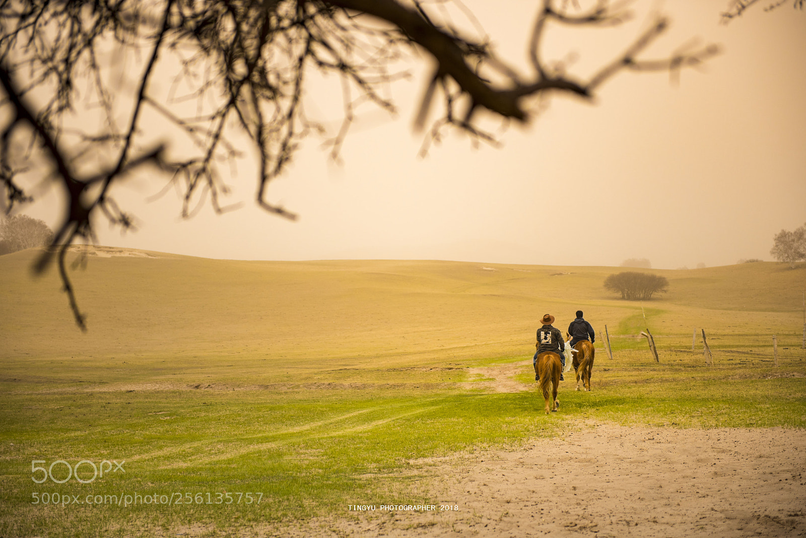 Nikon D810 sample photo. Untitled photography