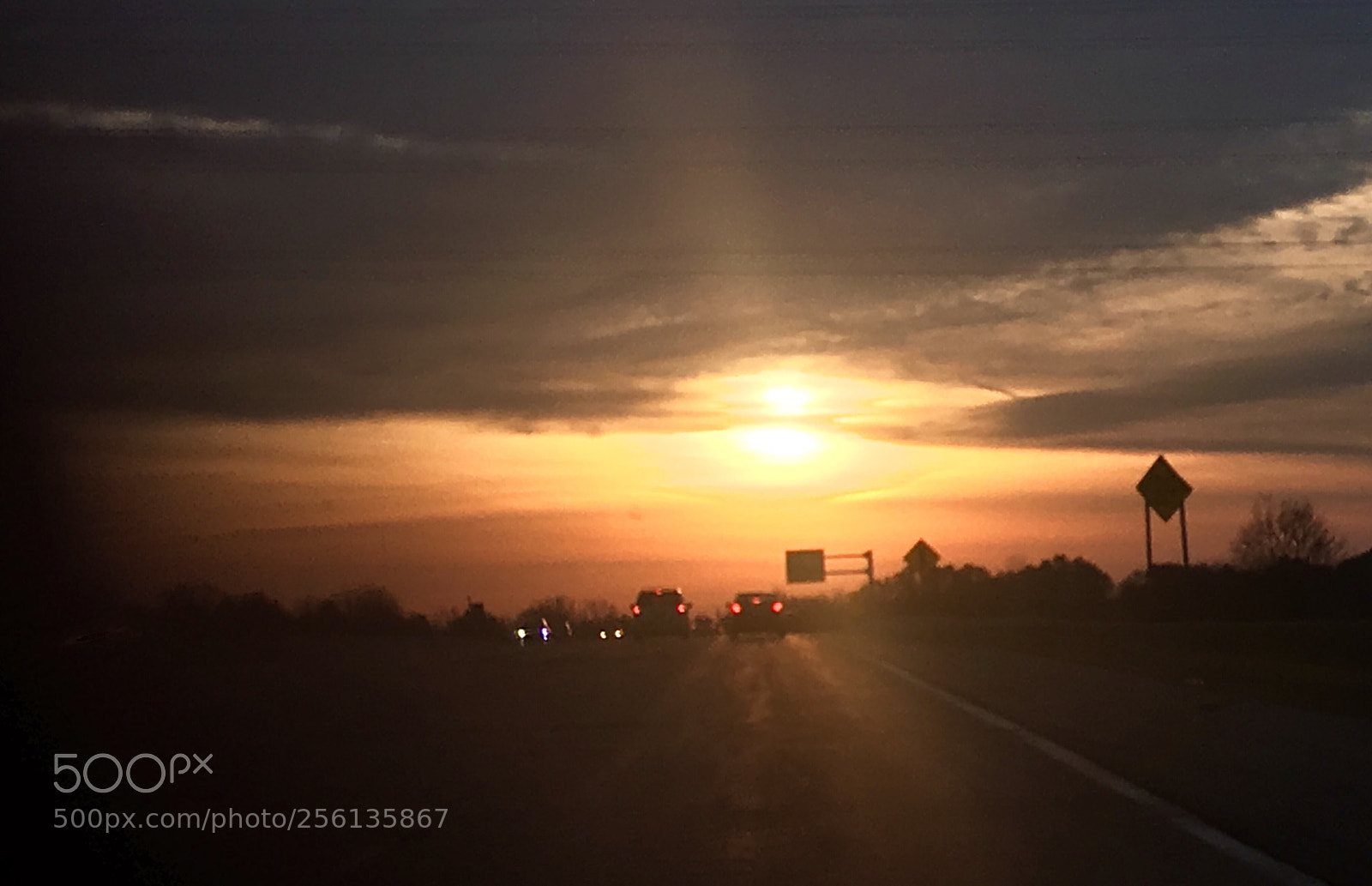 Apple iPhone 6s sample photo. Untitled photography