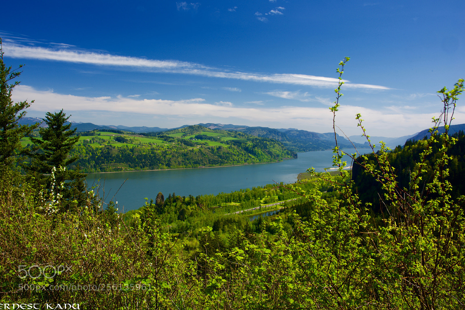 Nikon D810 sample photo. () photography