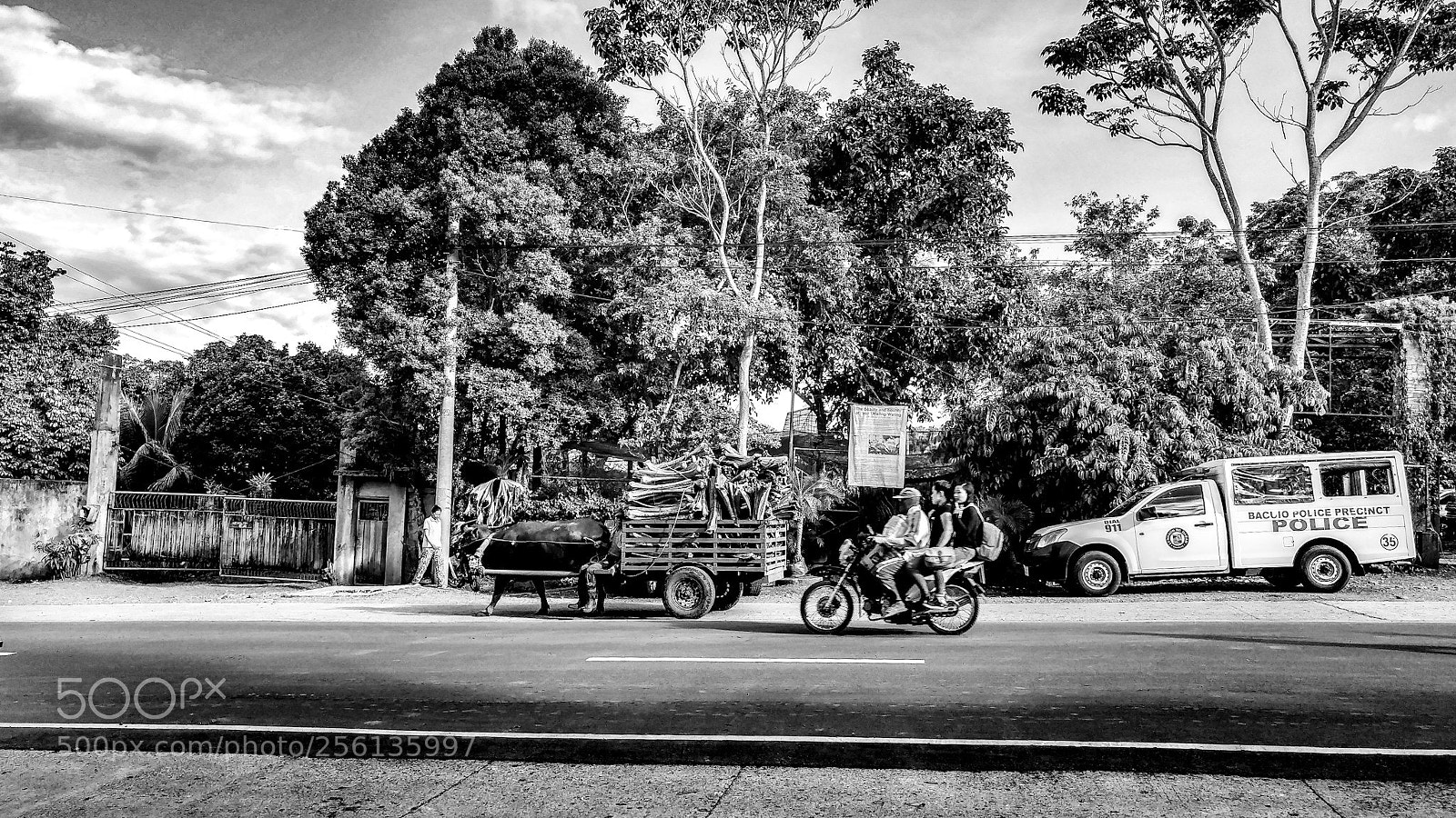 LG G5 sample photo. Carabao crossing photography